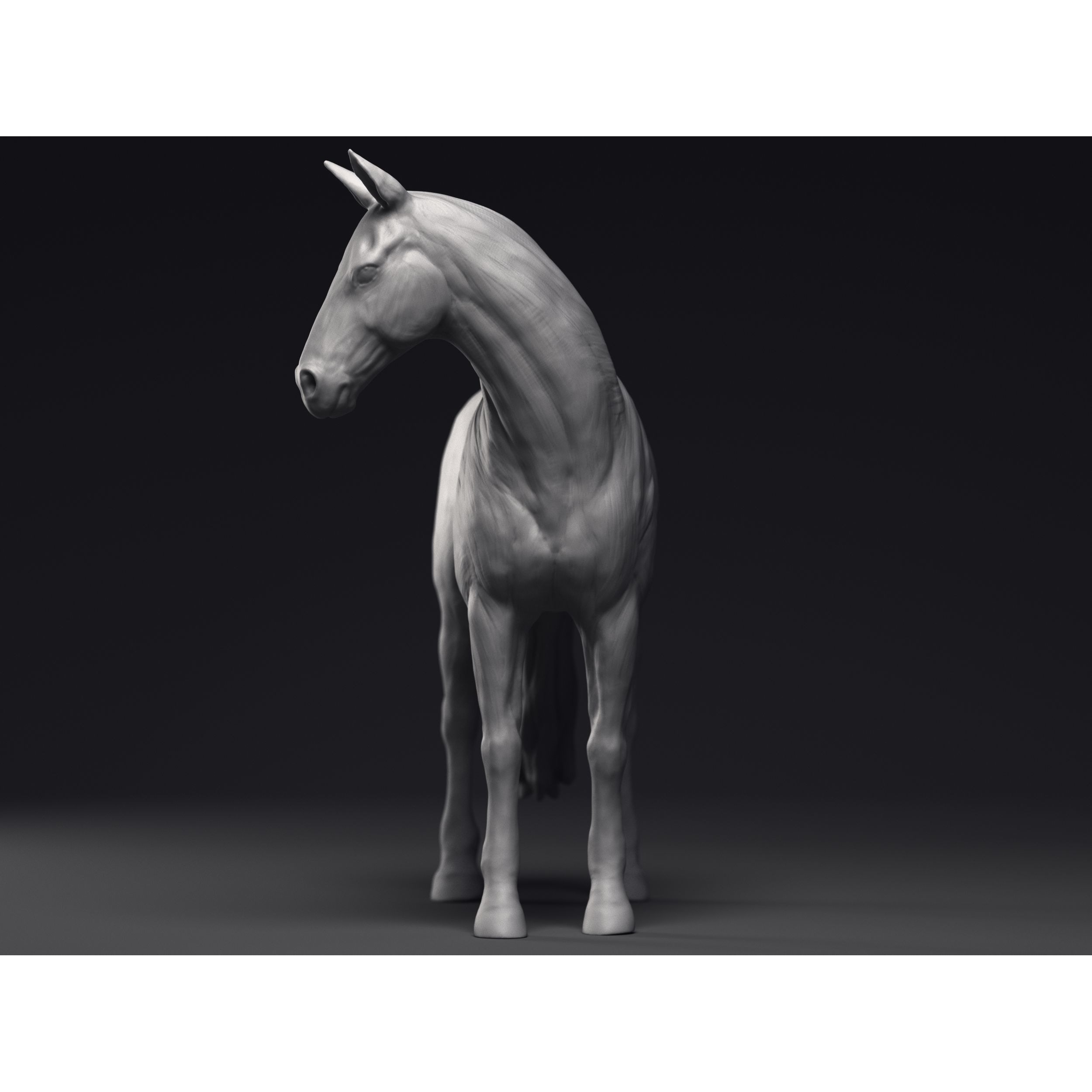 Study of a Horse Printable 3D Model 3D print model 2
