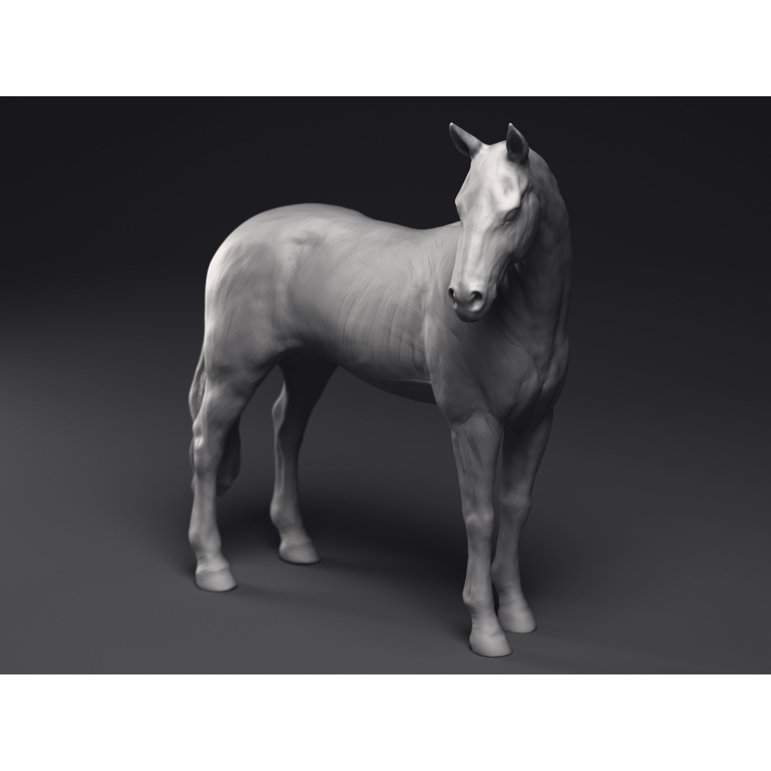 Study of a Horse Printable 3D Model 3D print model 3