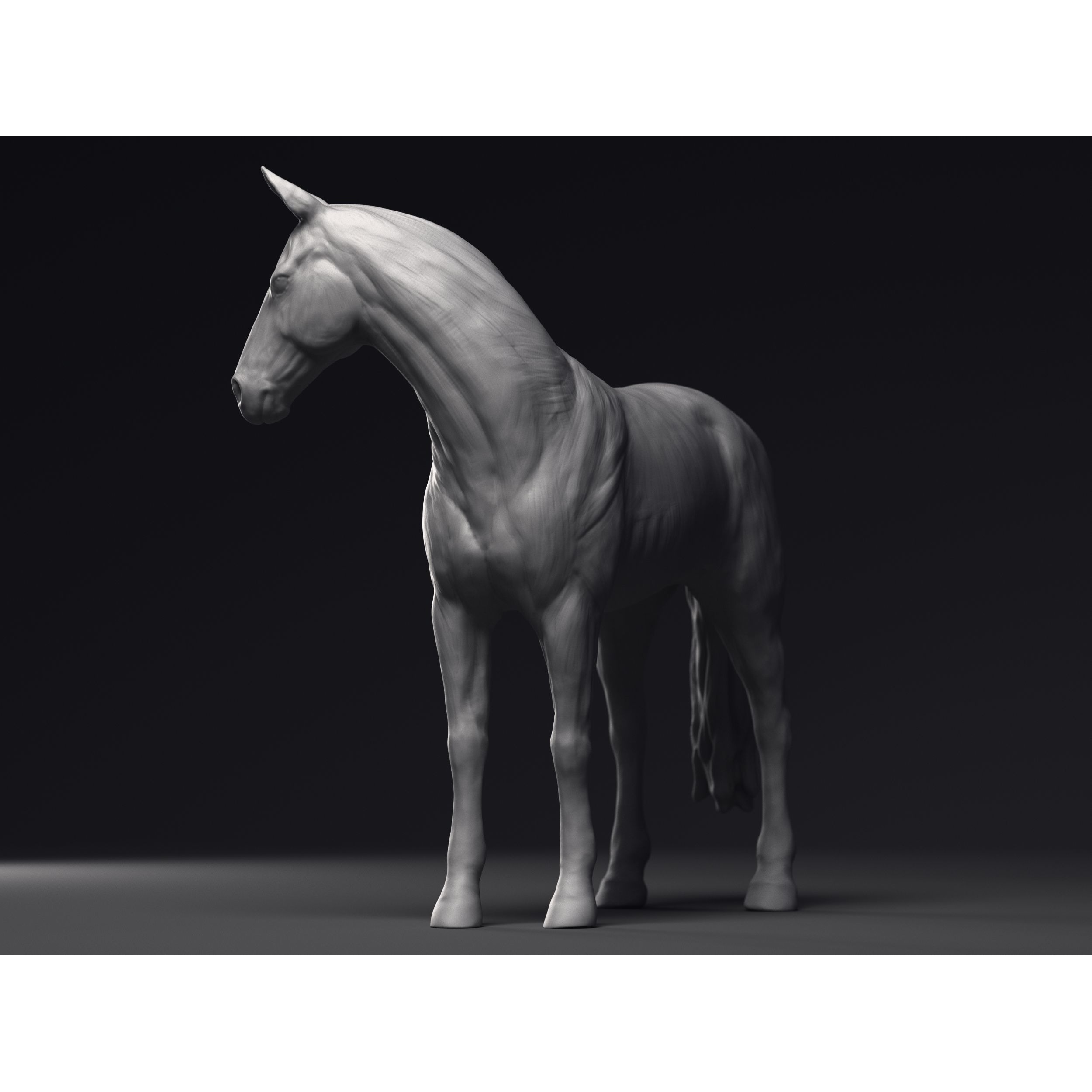 Study of a Horse Printable 3D Model 3D print model 4