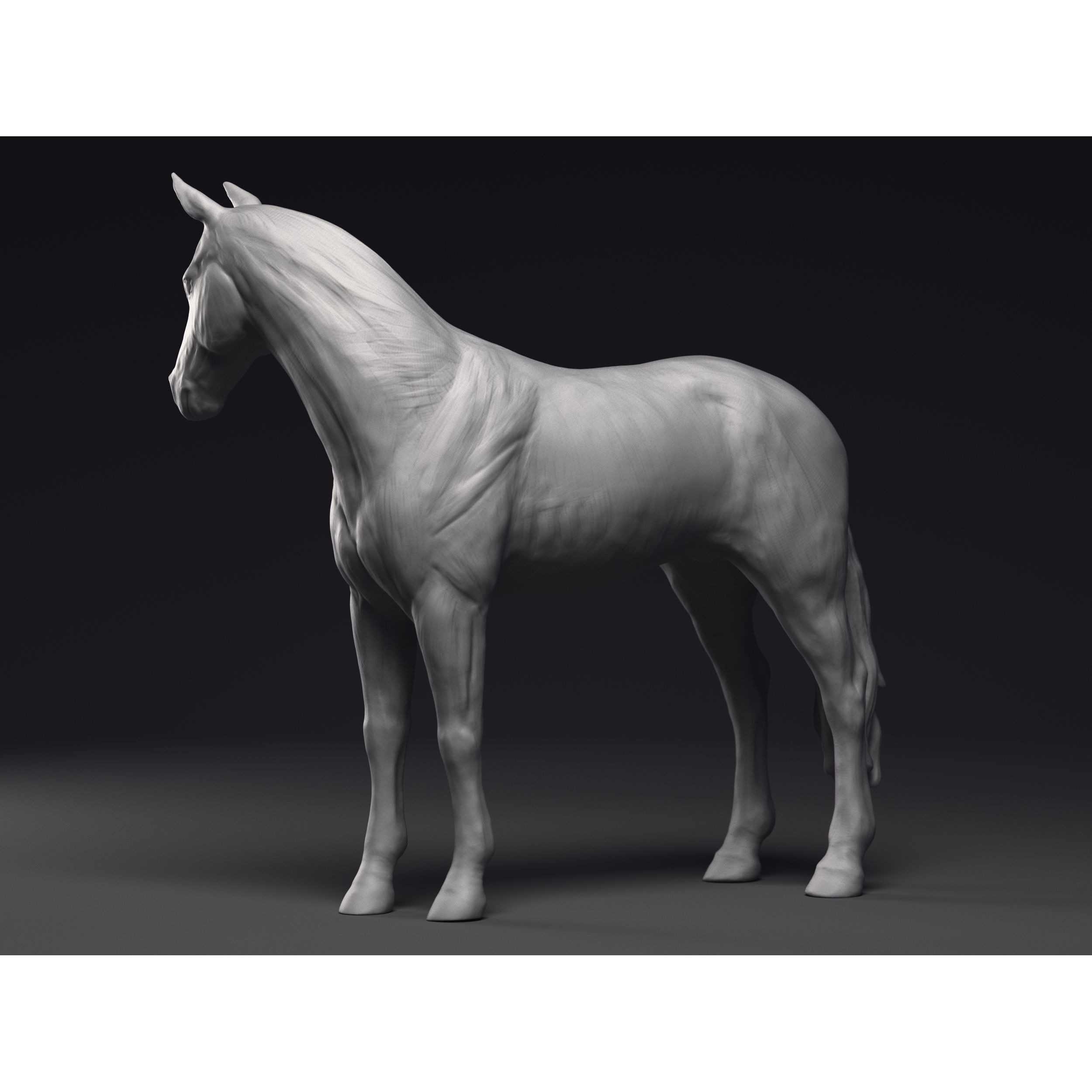 Study of a Horse Printable 3D Model 3D print model 5