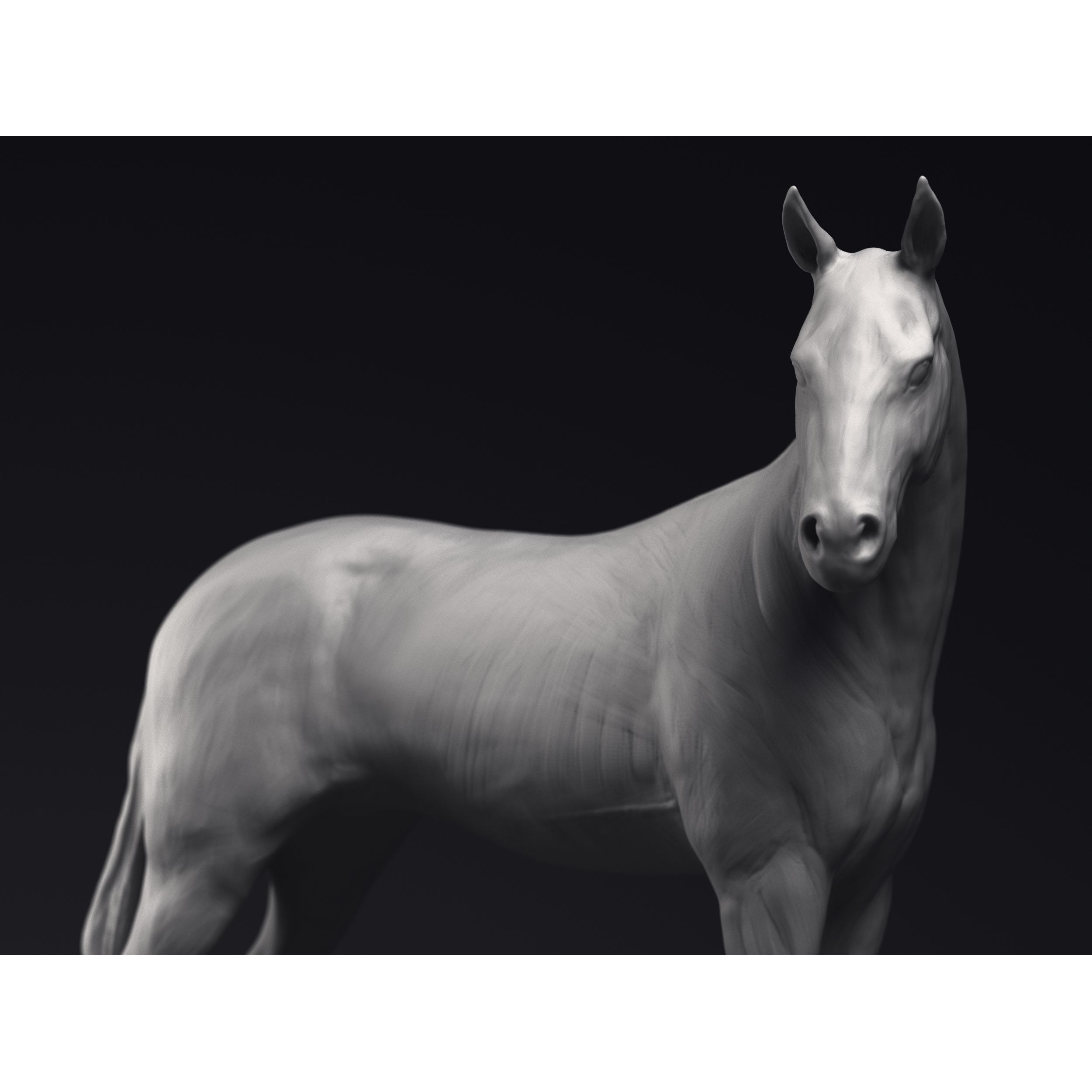 Study of a Horse Printable 3D Model 3D print model 6