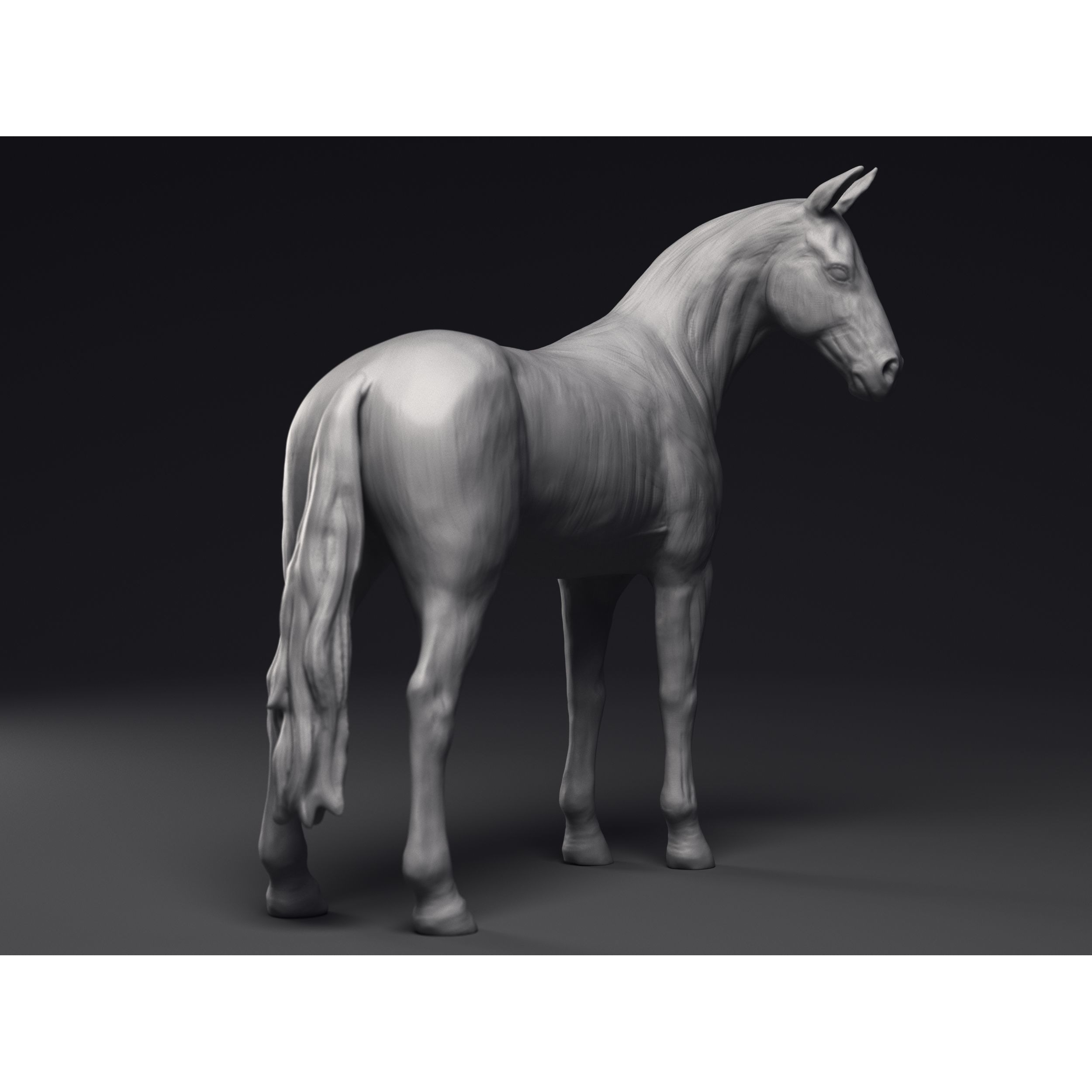 Study of a Horse Printable 3D Model 3D print model 7