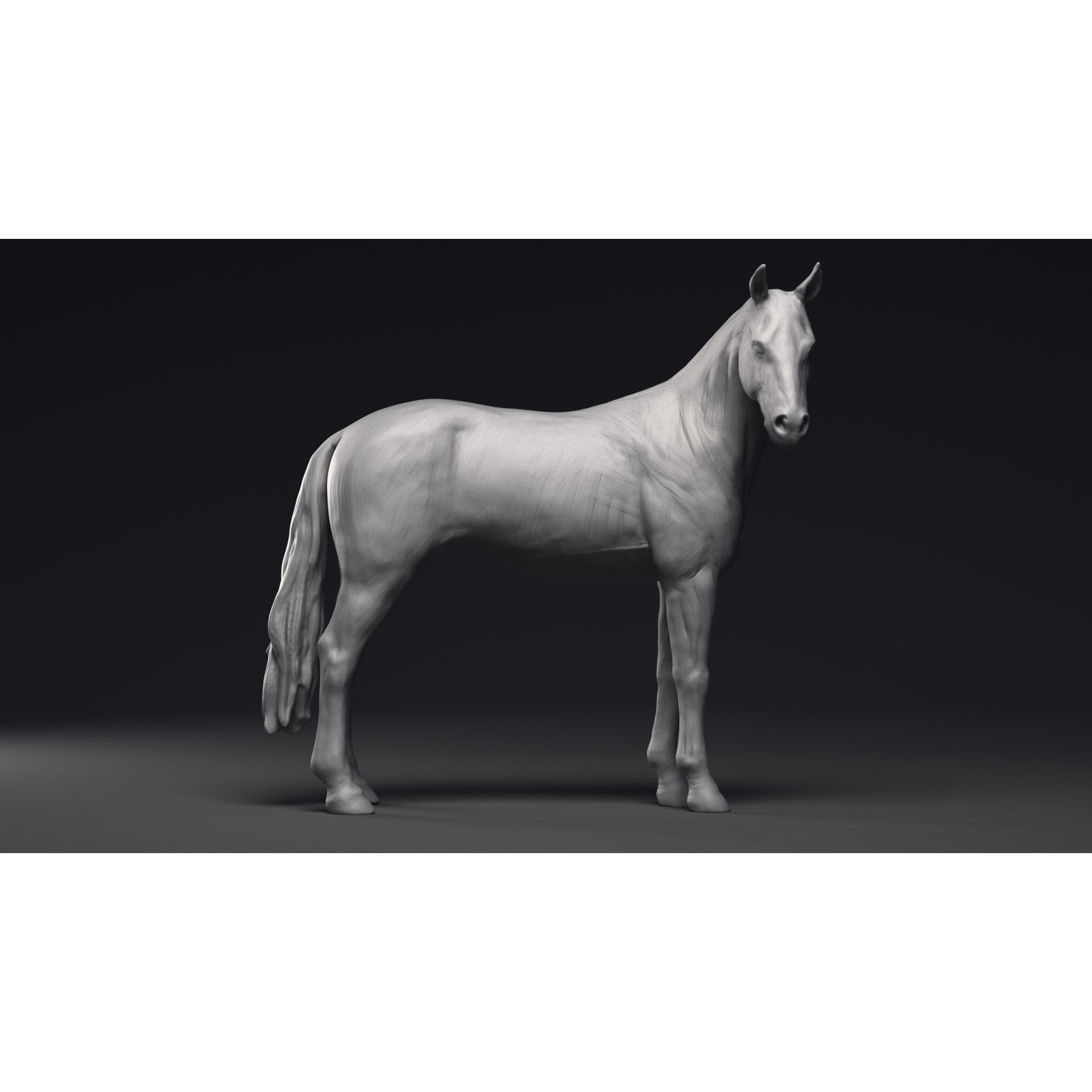 Study of a Horse Printable 3D Model 3D print model 8