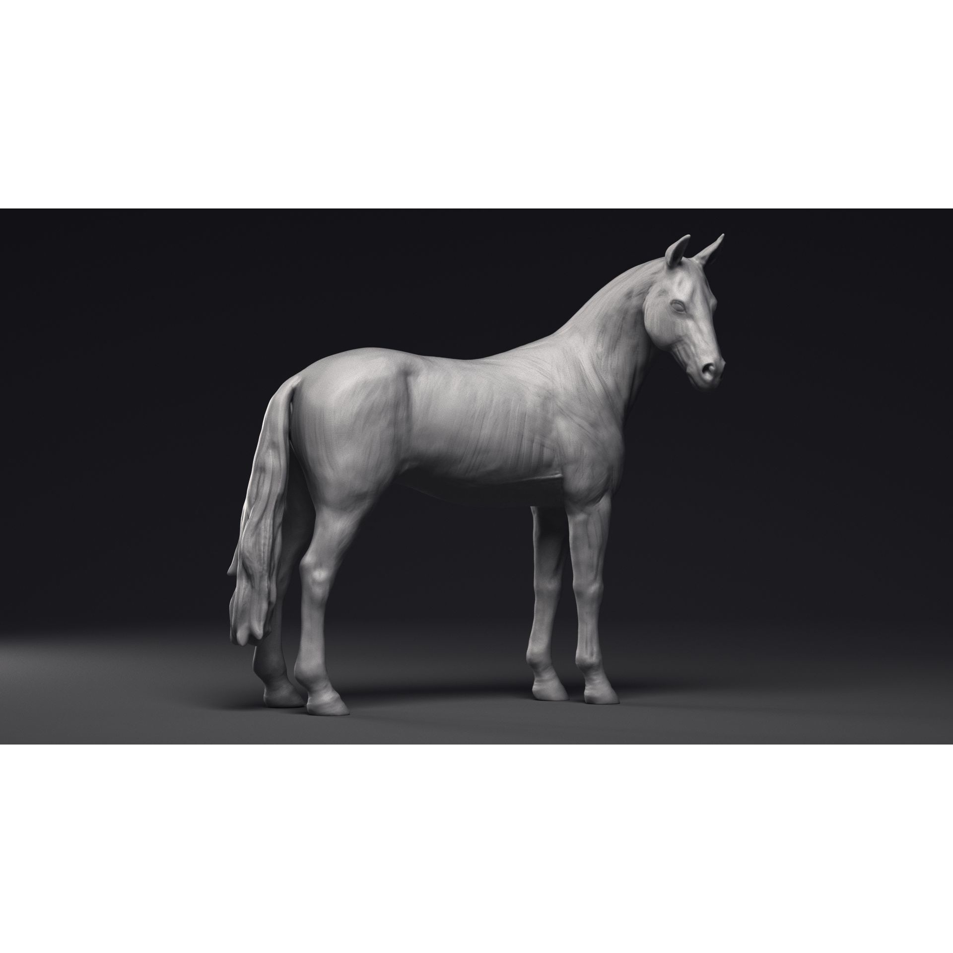 Study of a Horse Printable 3D Model 3D print model 9
