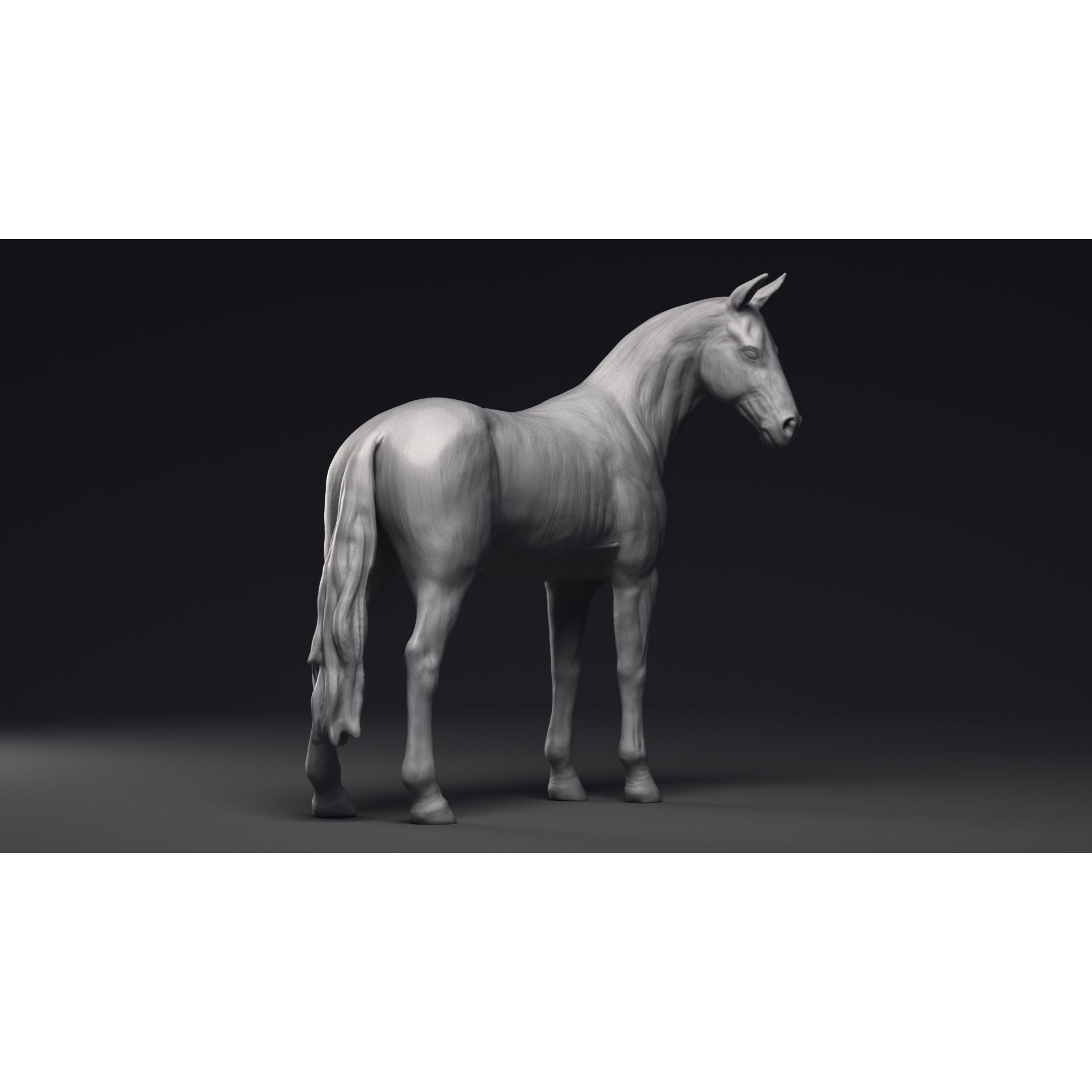Study of a Horse Printable 3D Model 3D print model 10