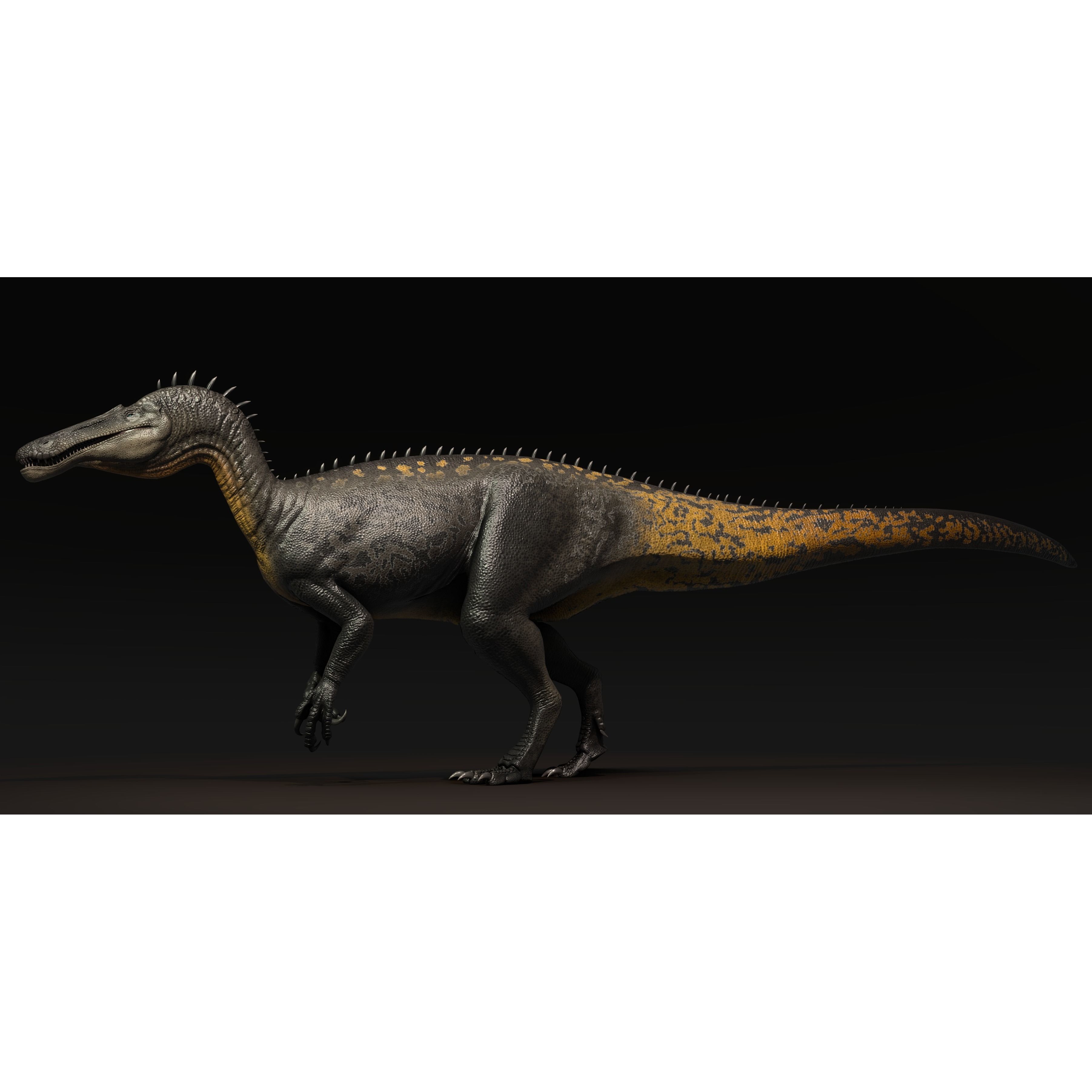 Suchominus Asset Pack Low-poly 3D model 3