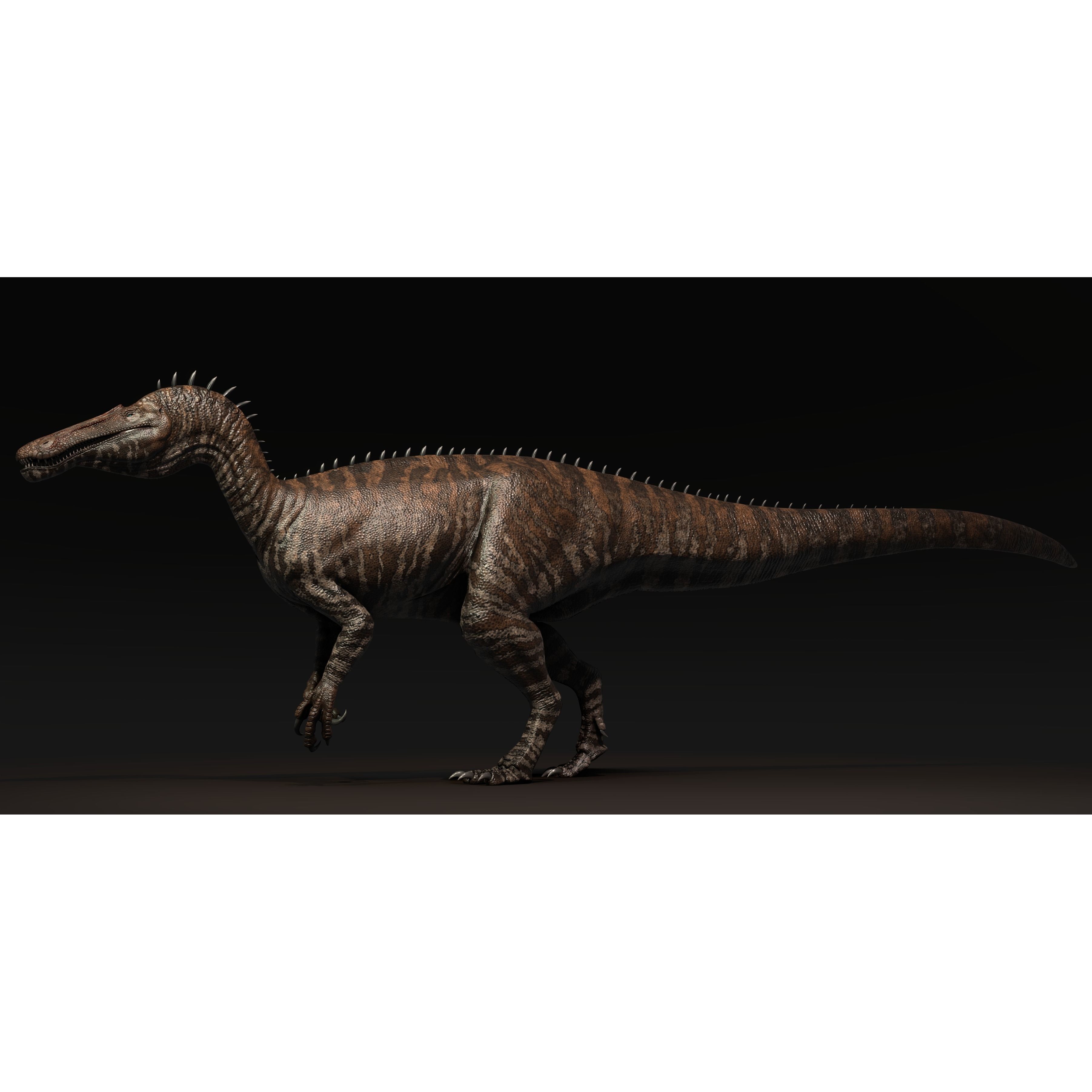 Suchominus Asset Pack Low-poly 3D model 4