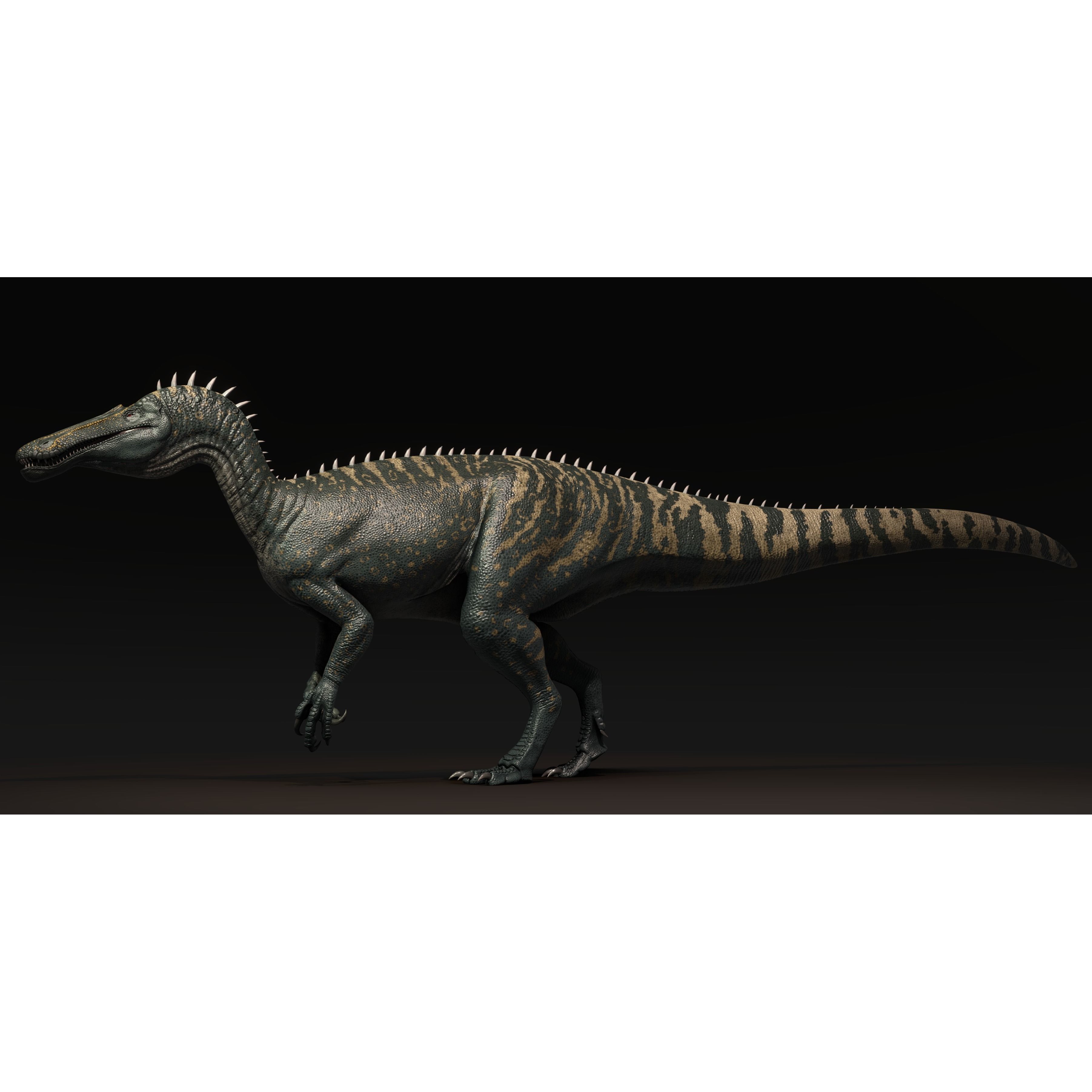 Suchominus Asset Pack Low-poly 3D model 5