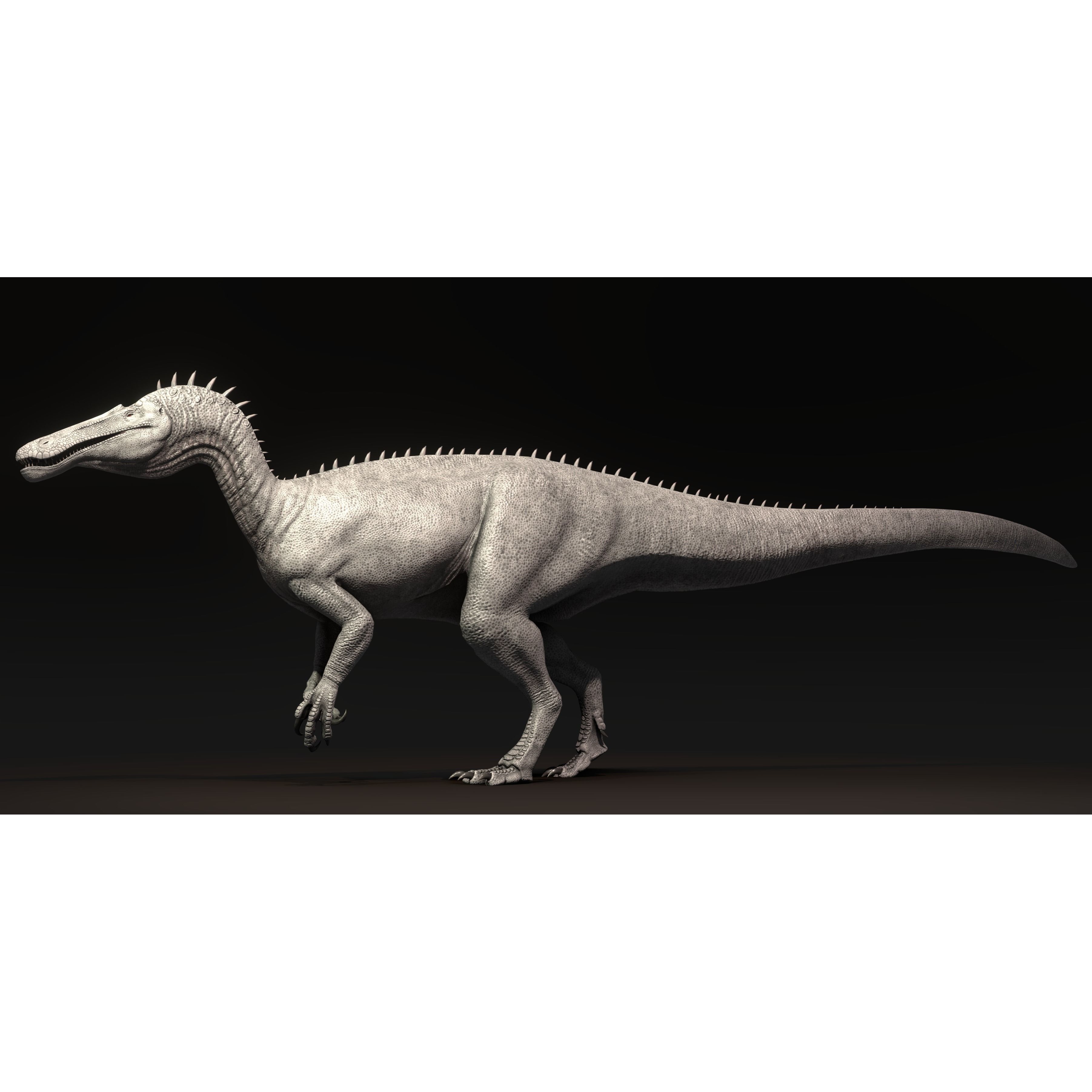 Suchominus Asset Pack Low-poly 3D model 7