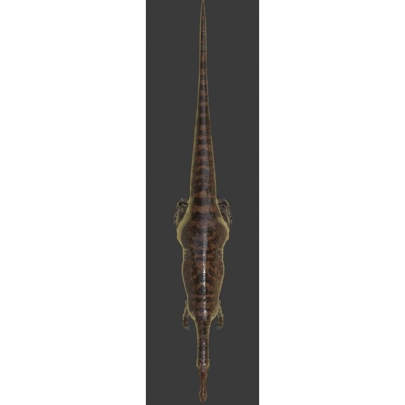 Suchominus Asset Pack Low-poly 3D model 8