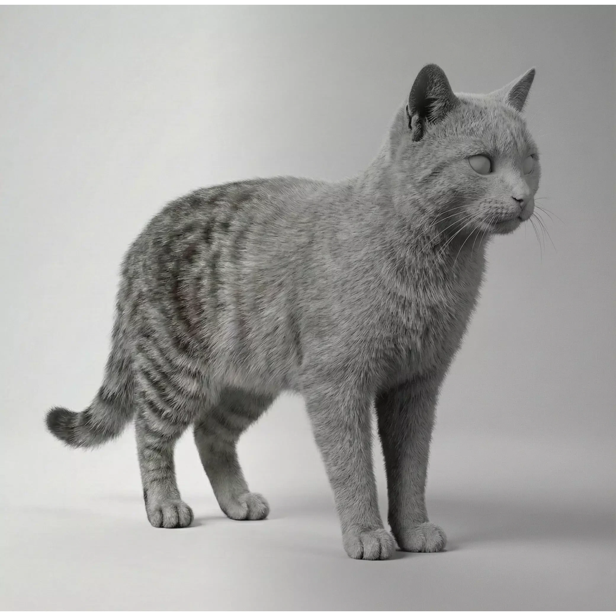 Tabby Cat Rigged Animated Fur 3D model 7