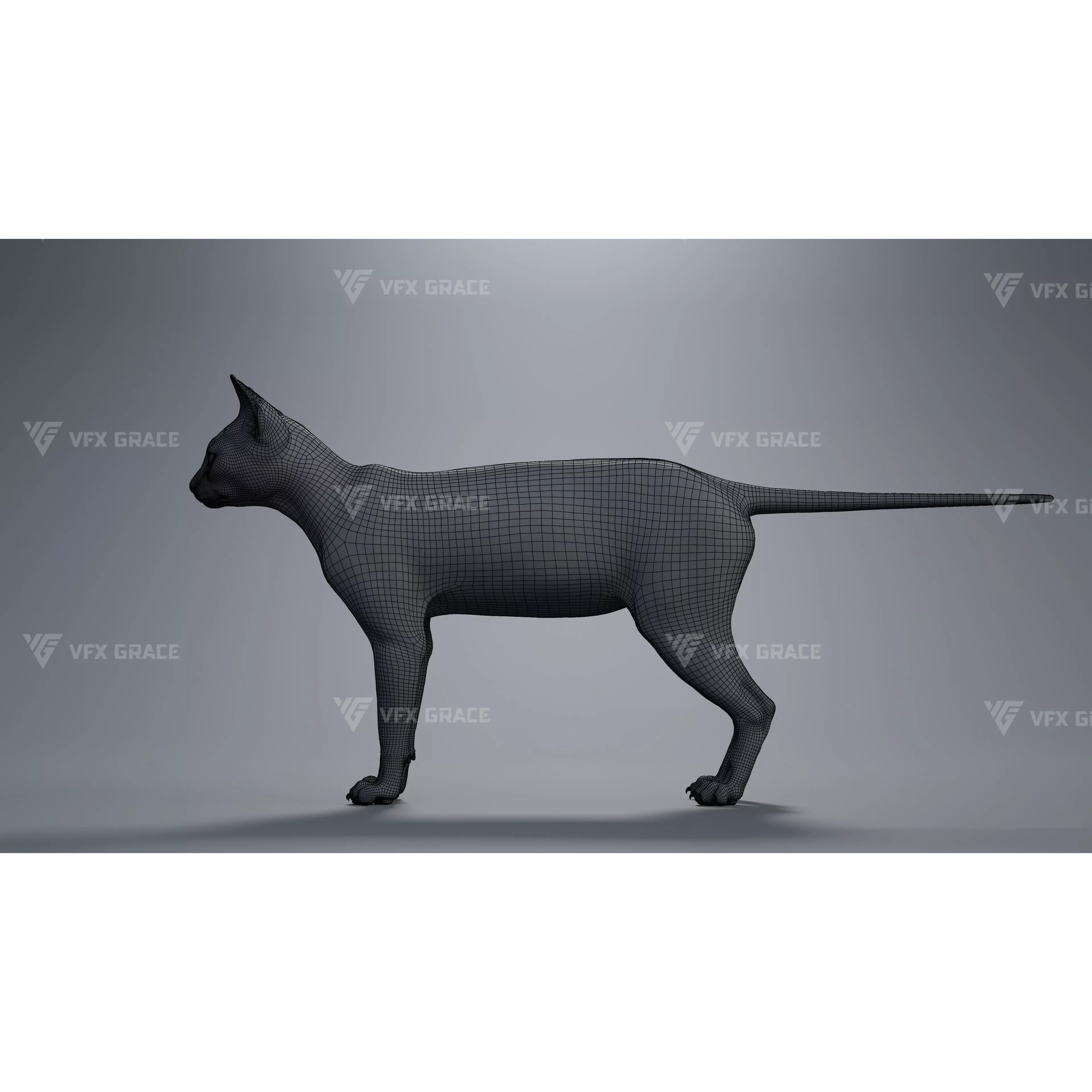 Tabby Cat White Animation Blender 3D Model 3D model 10