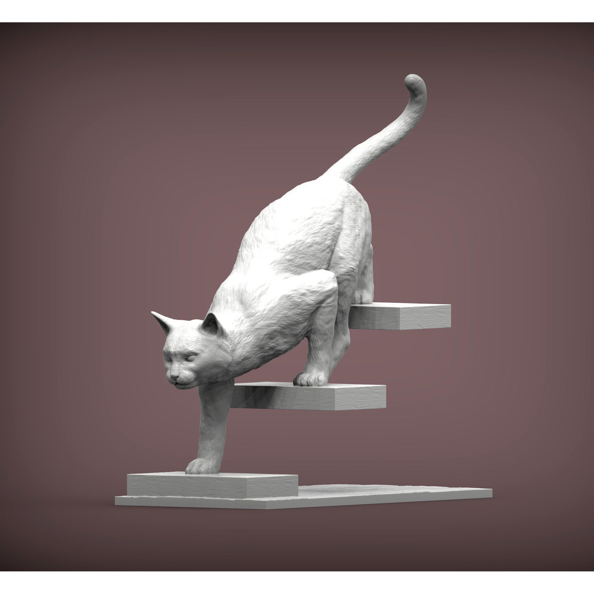 The cat goes down the stairs 3D print model 2