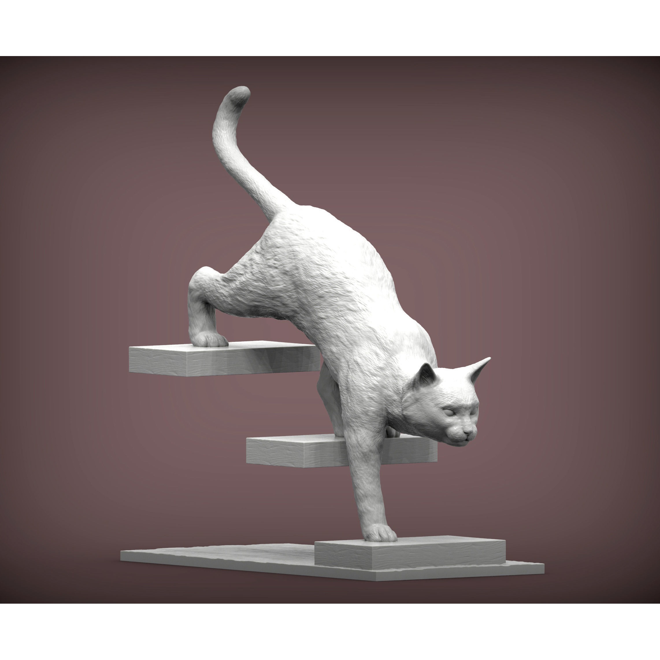 The cat goes down the stairs 3D print model 3
