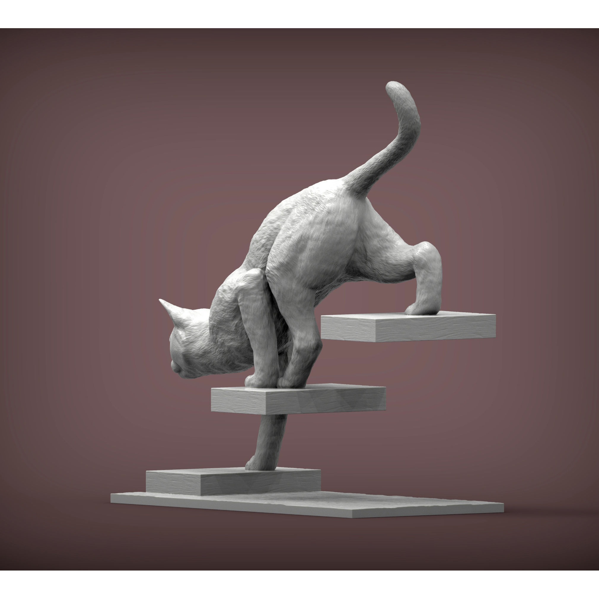 The cat goes down the stairs 3D print model 4