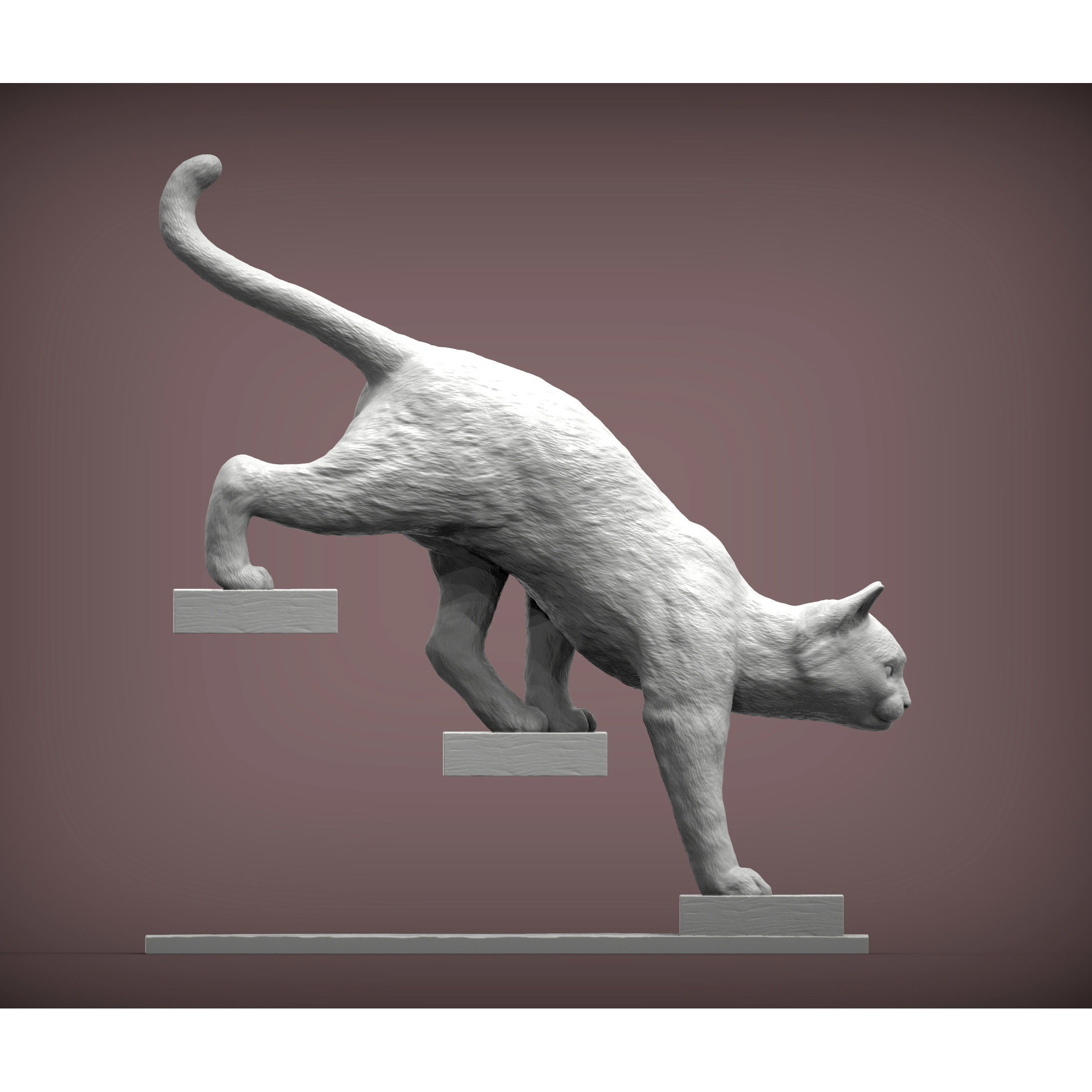 The cat goes down the stairs 3D print model 5