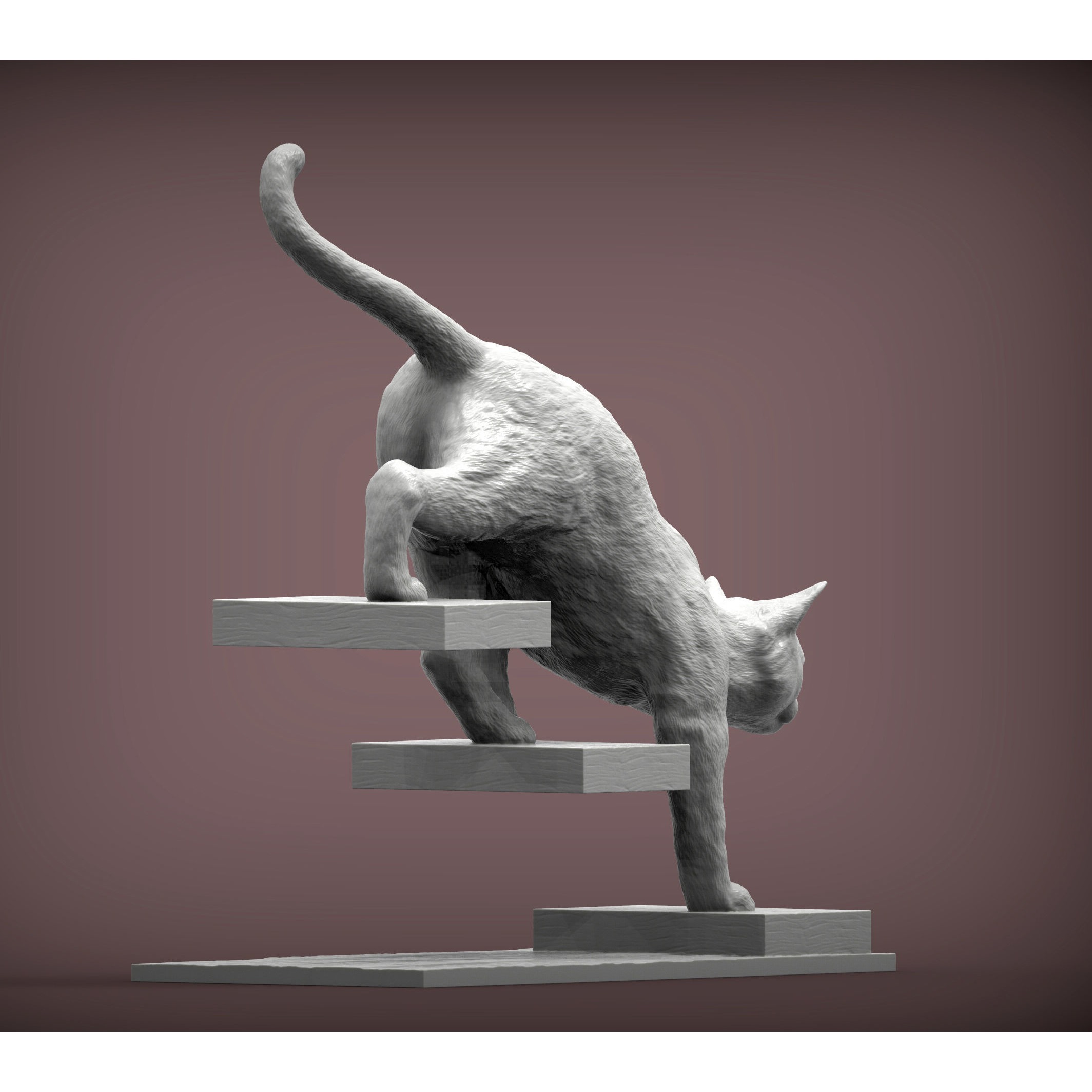 The cat goes down the stairs 3D print model 6