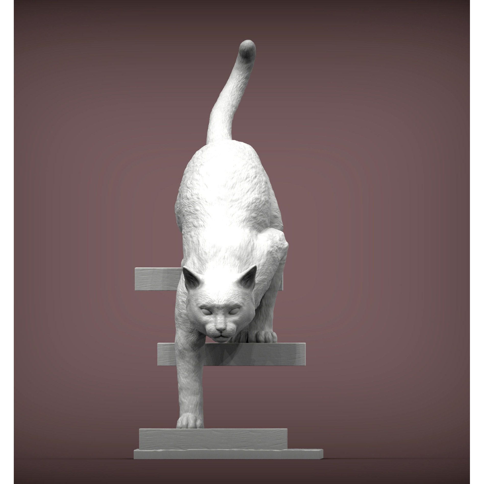 The cat goes down the stairs 3D print model 7