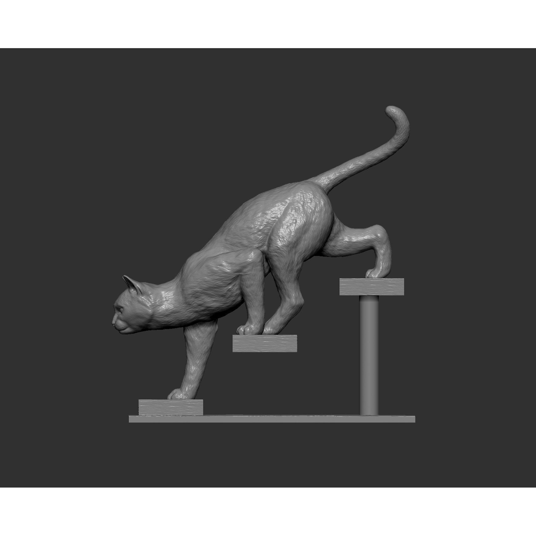 The cat goes down the stairs 3D print model 8