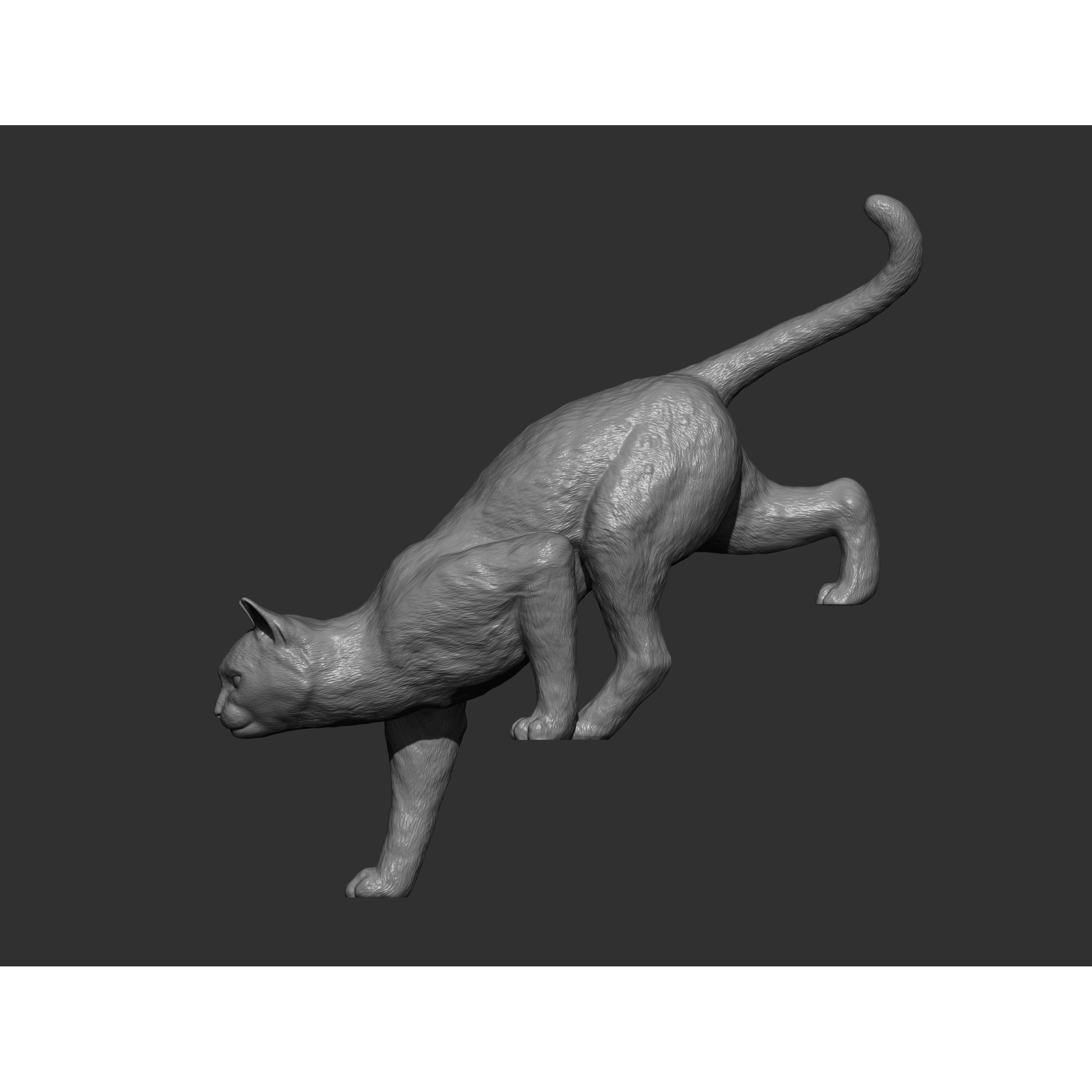 The cat goes down the stairs 3D print model 9