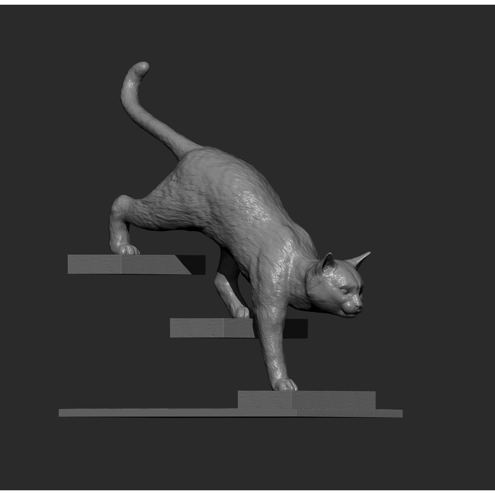 The cat goes down the stairs 3D print model 10