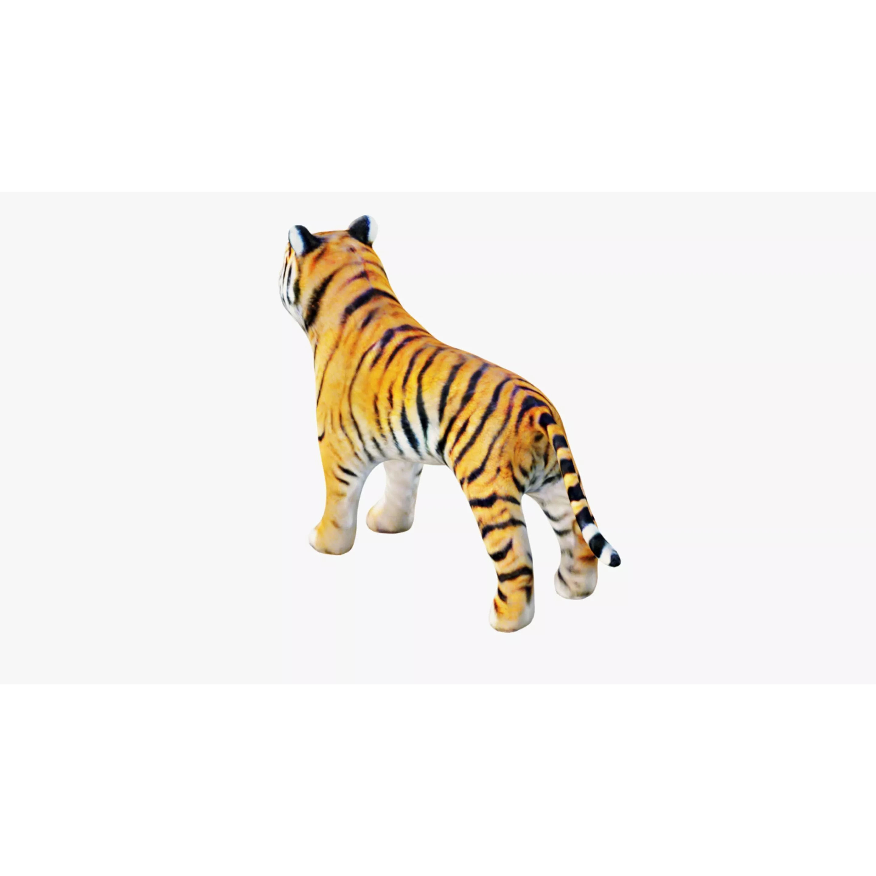 Tiger Free 3D model 4