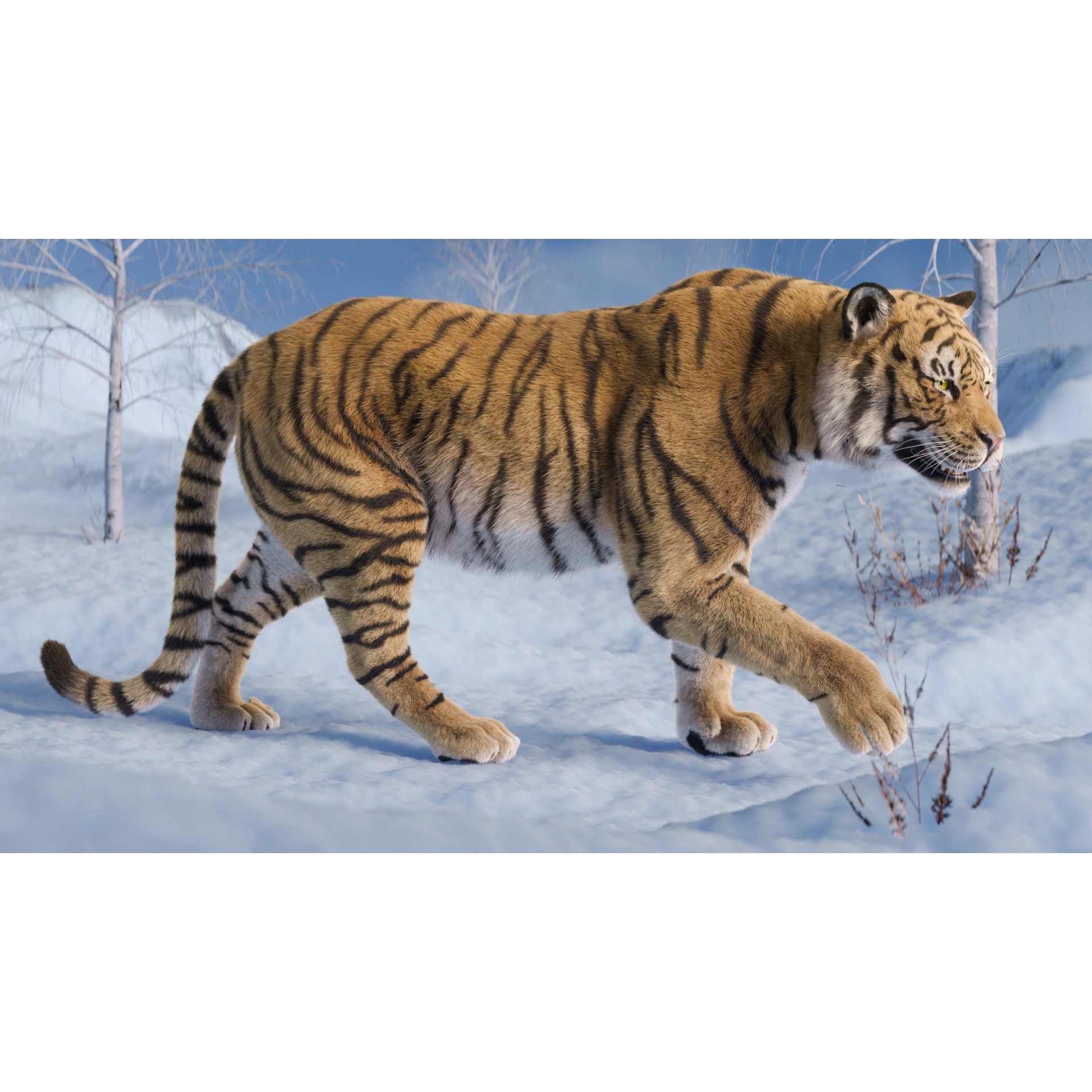 Tiger Rigged Animated 3D model 2