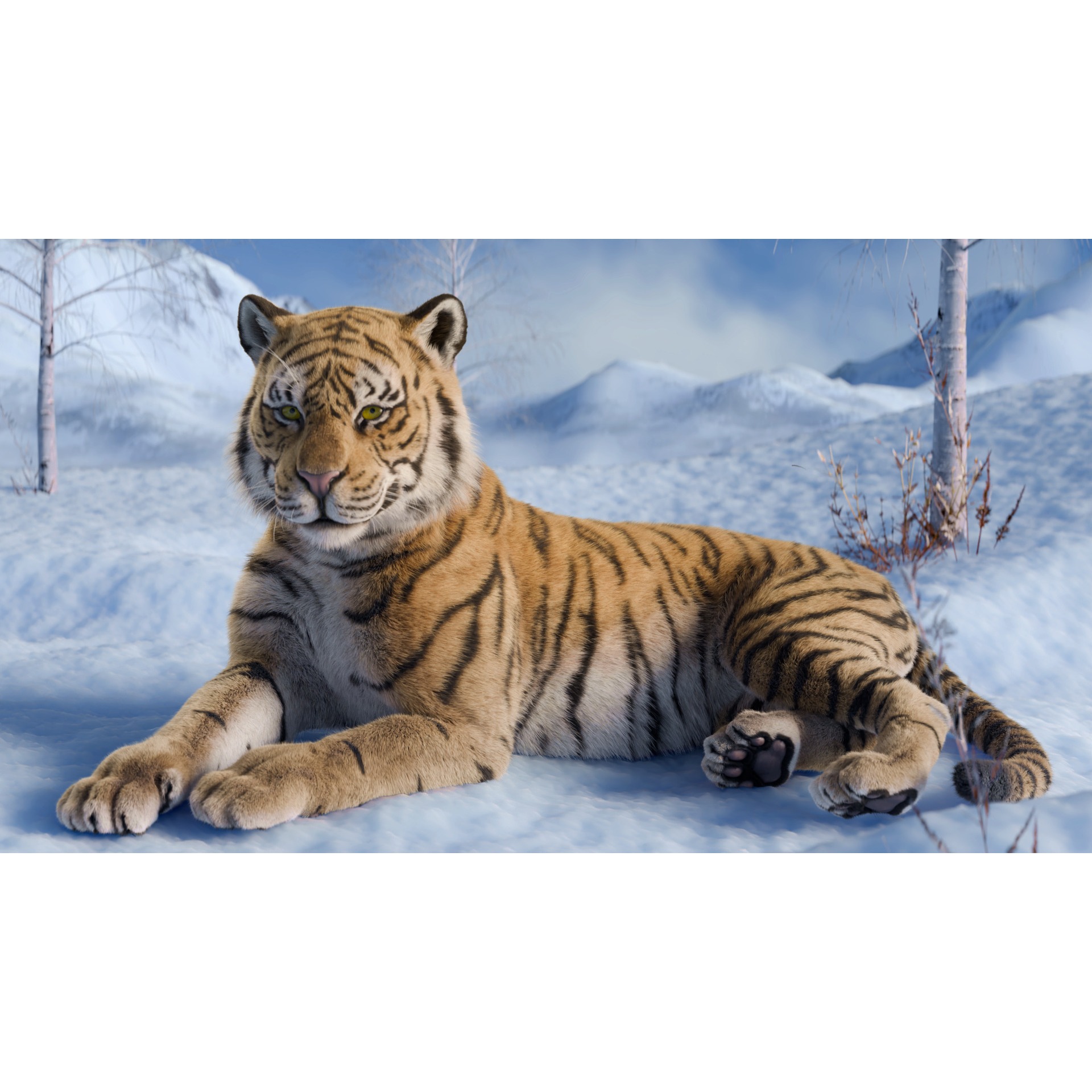 Tiger Rigged Animated 3D model 3