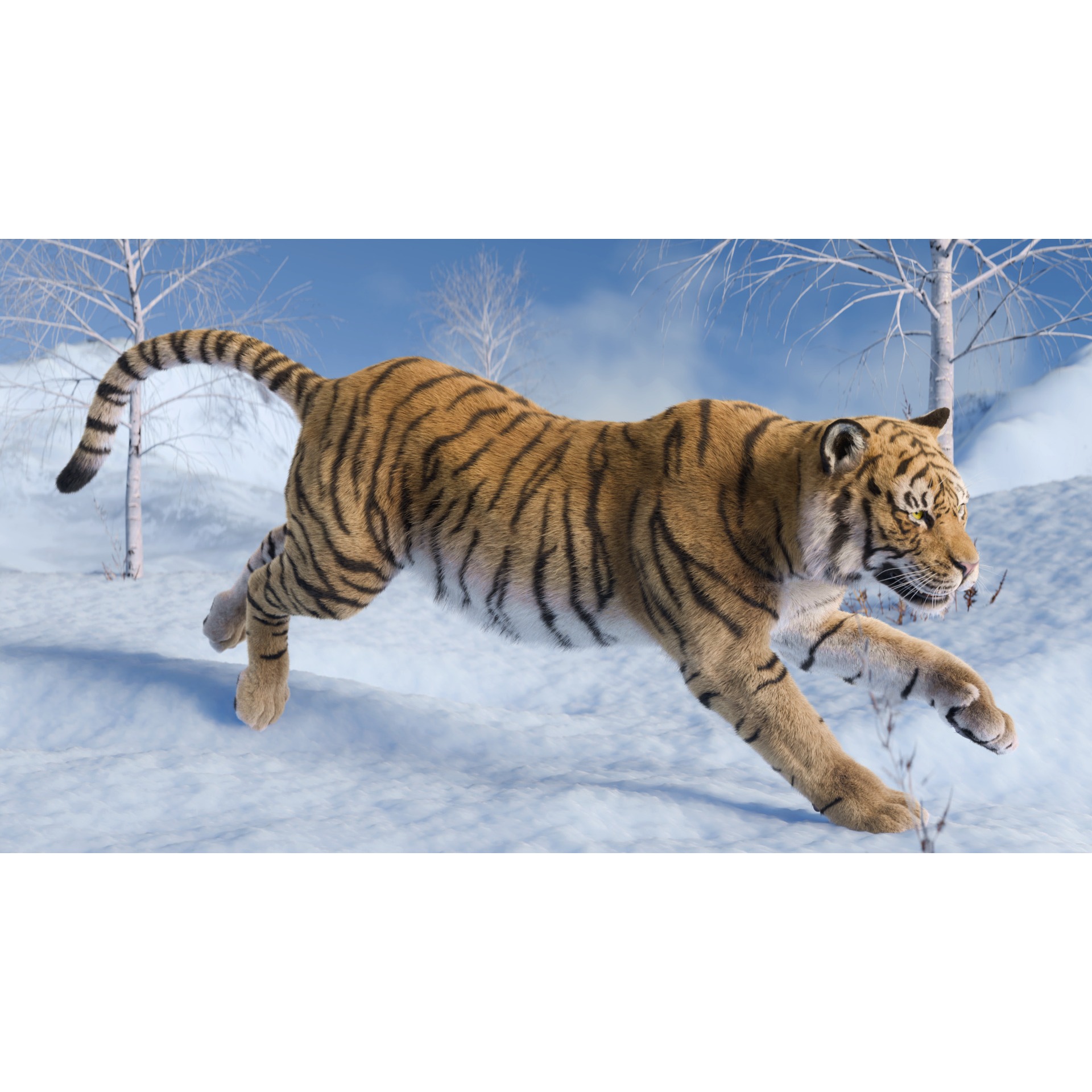 Tiger Rigged Animated 3D model 4