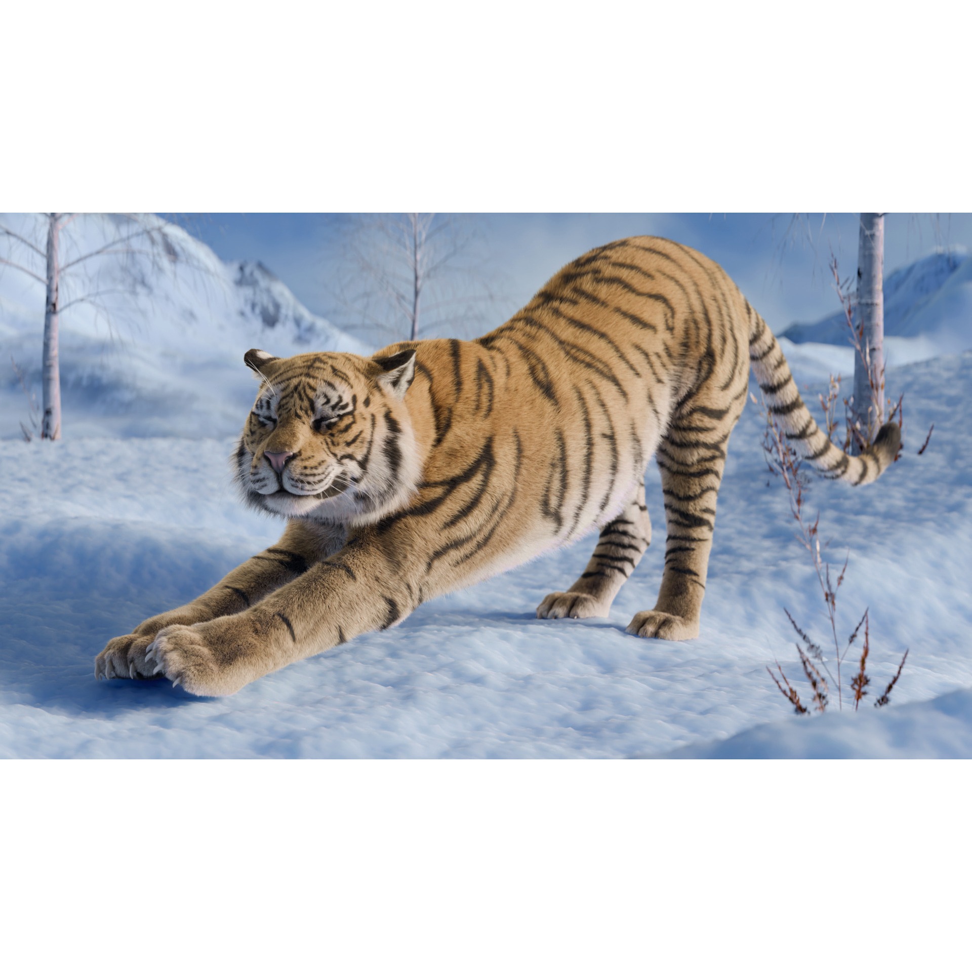 Tiger Rigged Animated 3D model 5