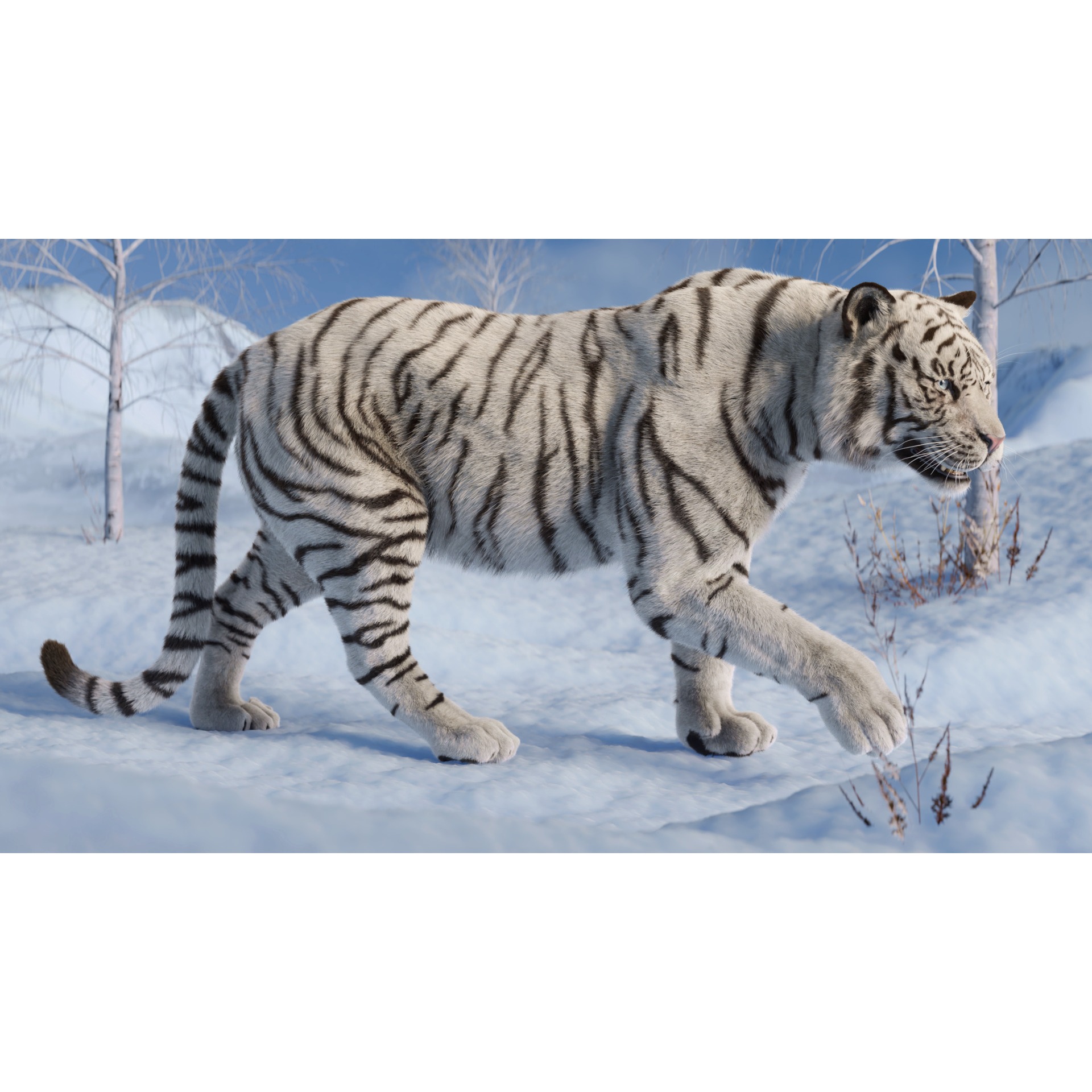 Tiger Rigged Animated 3D model 7