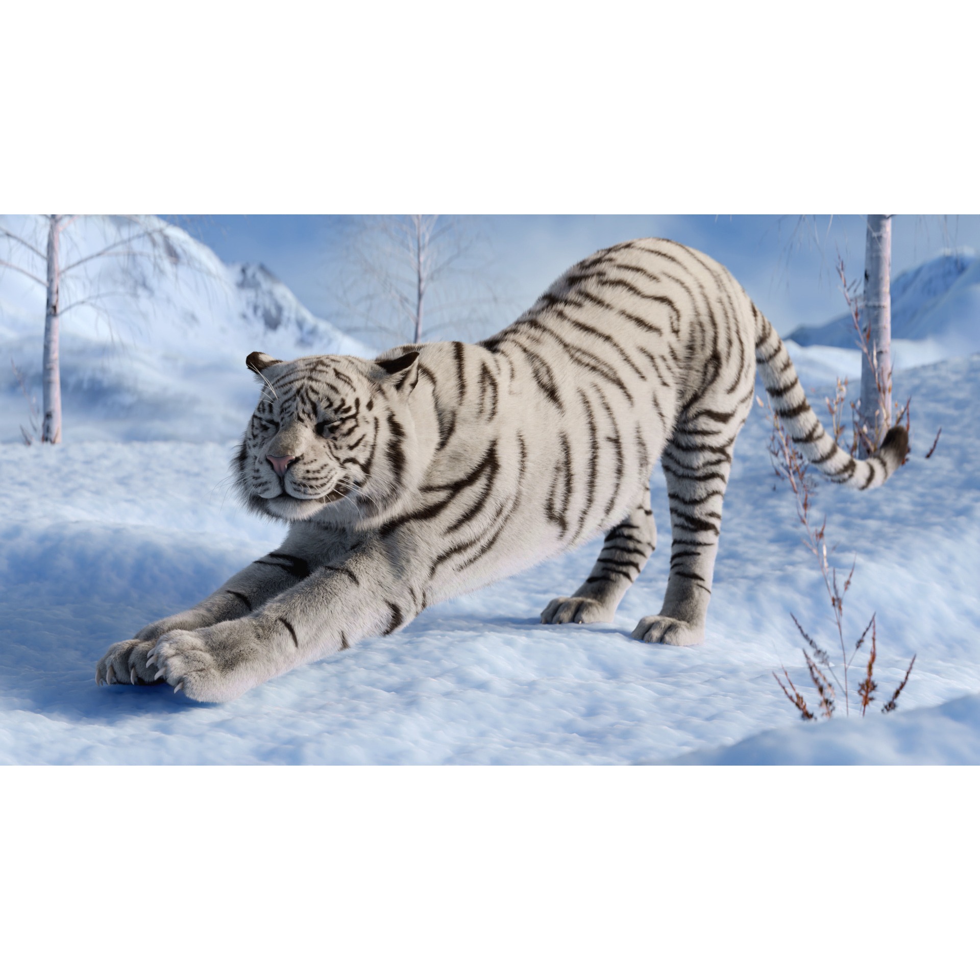 Tiger Rigged Animated 3D model 9