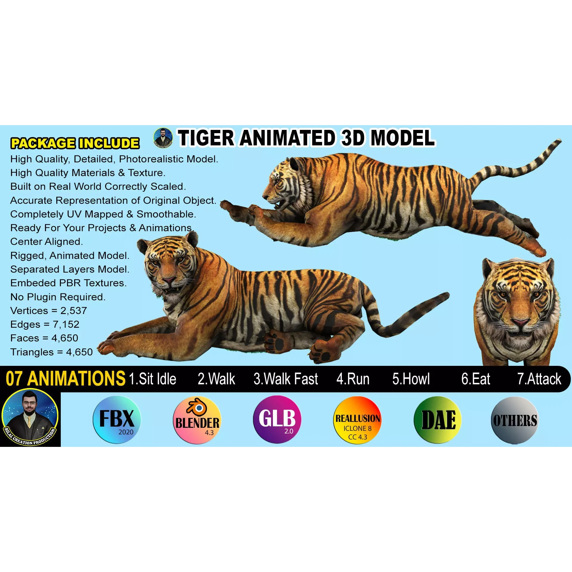 Tiger Rigged Animated 7 3D model