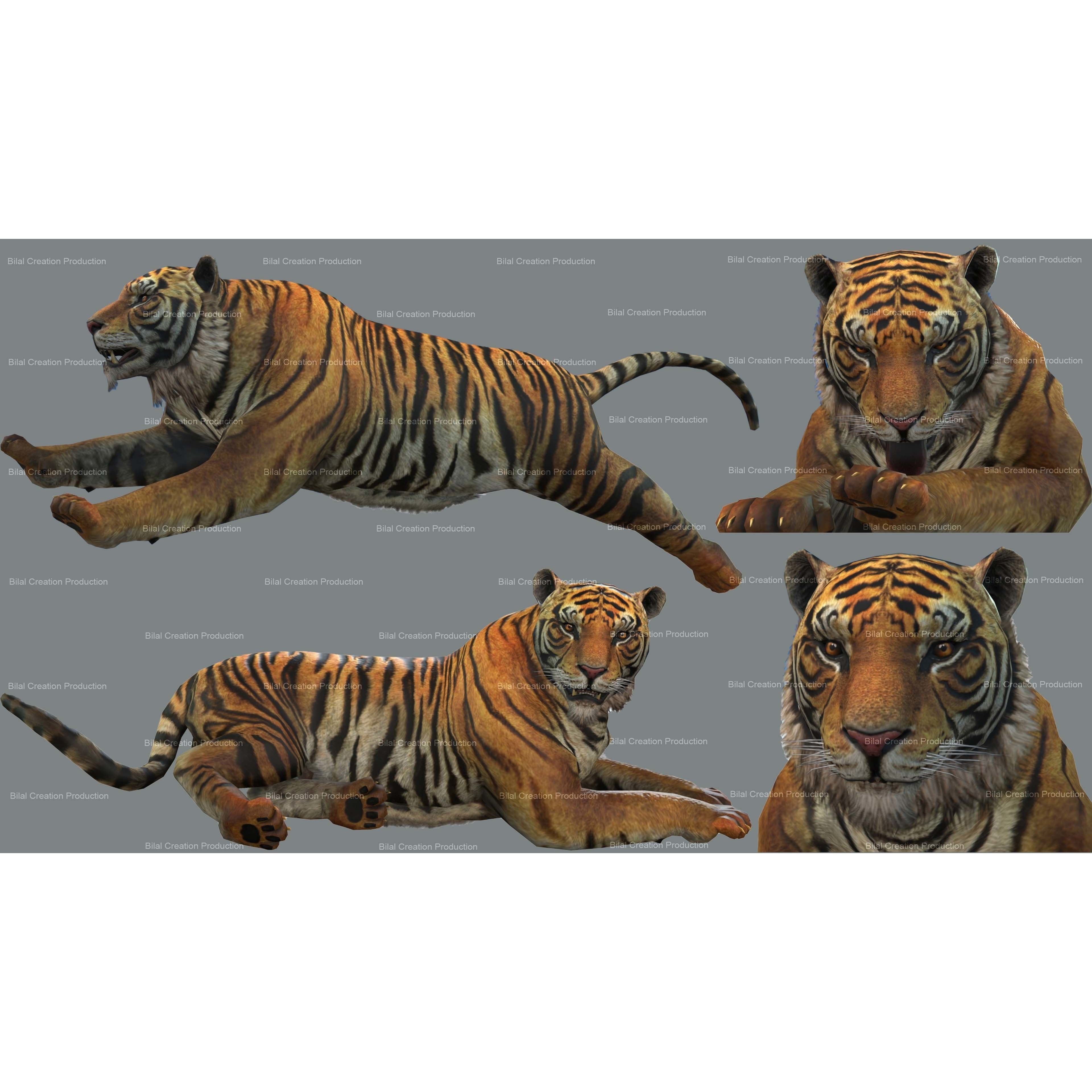Tiger Rigged Animated 7 3D model 2