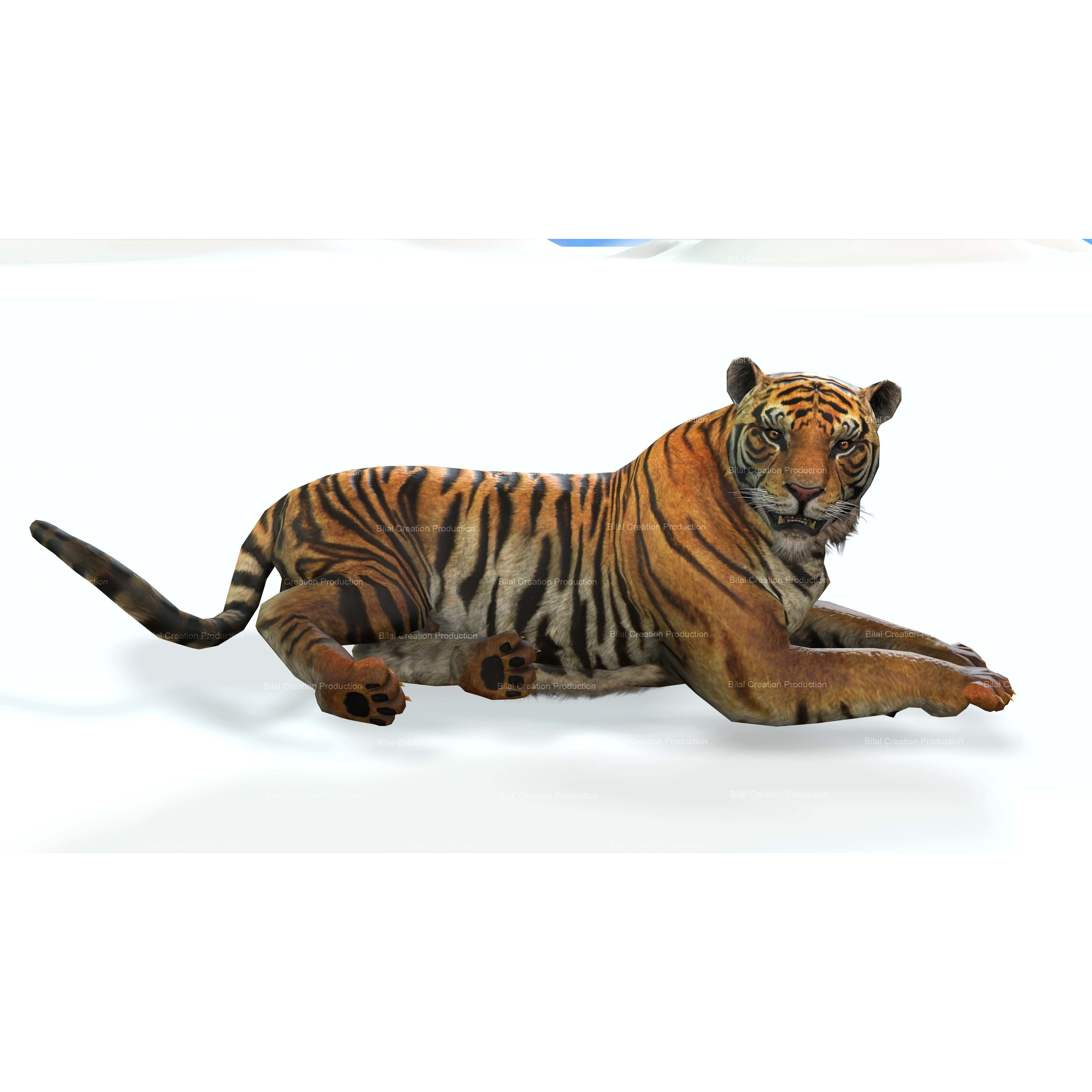 Tiger Rigged Animated 7 3D model 3