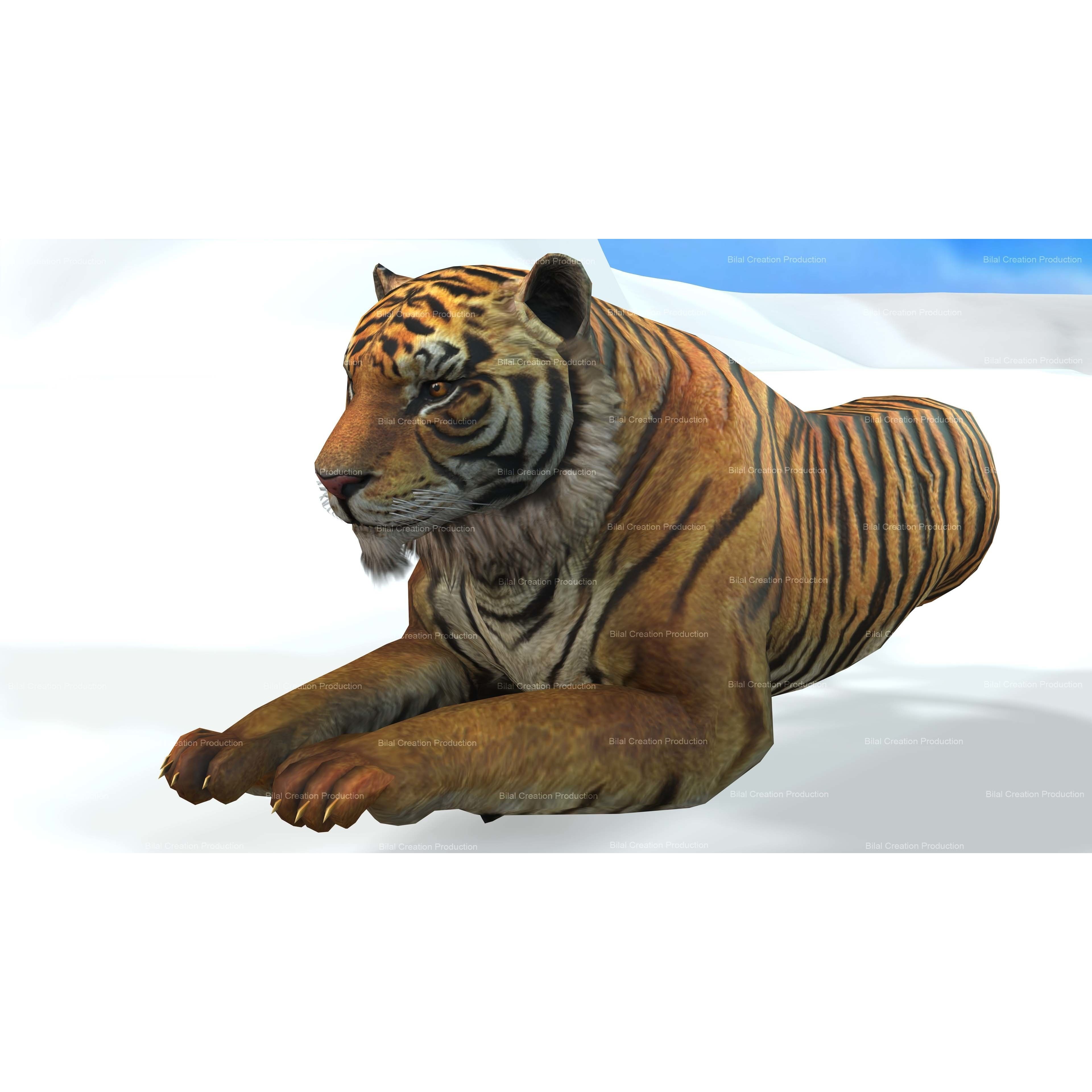 Tiger Rigged Animated 7 3D model 6
