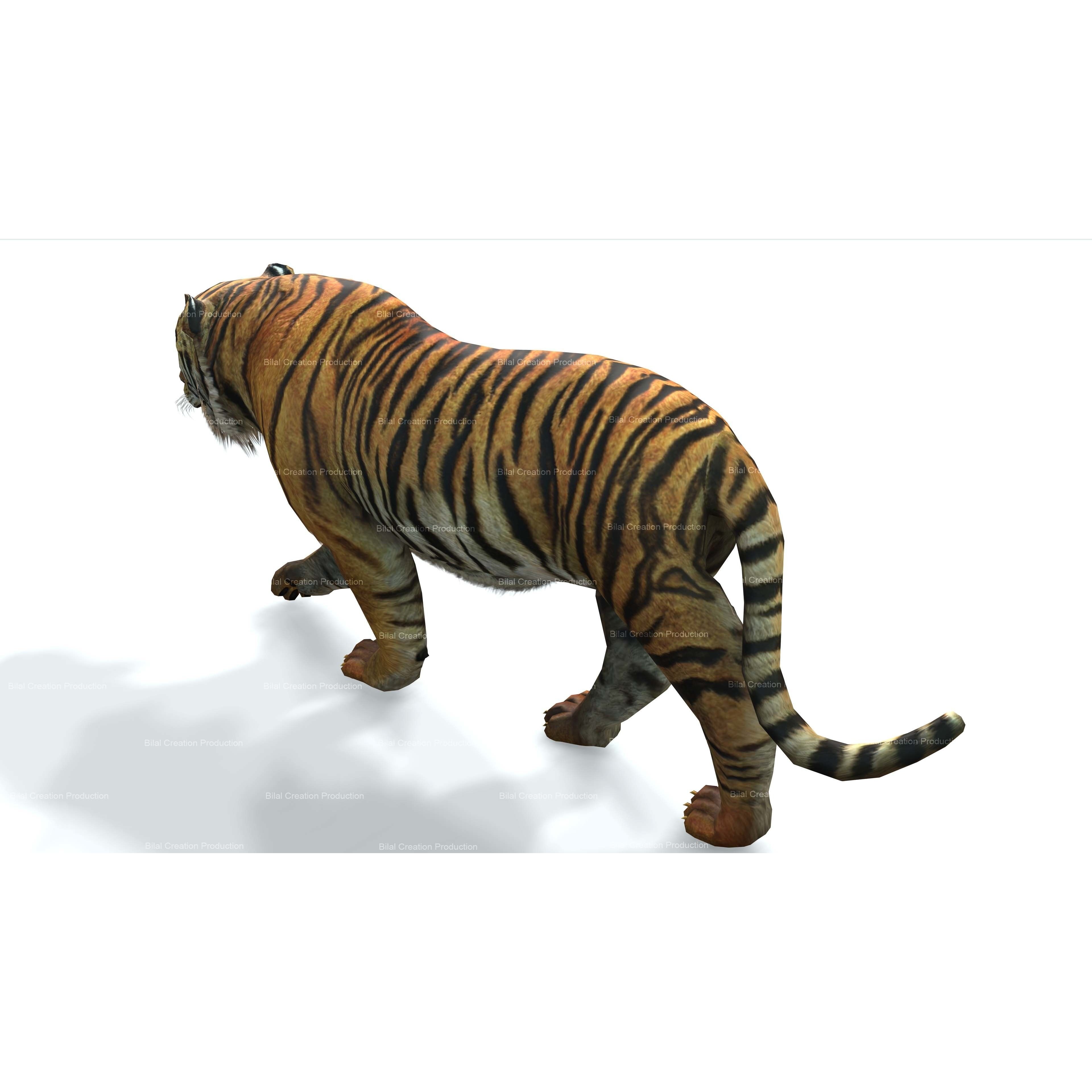 Tiger Rigged Animated 7 3D model 7