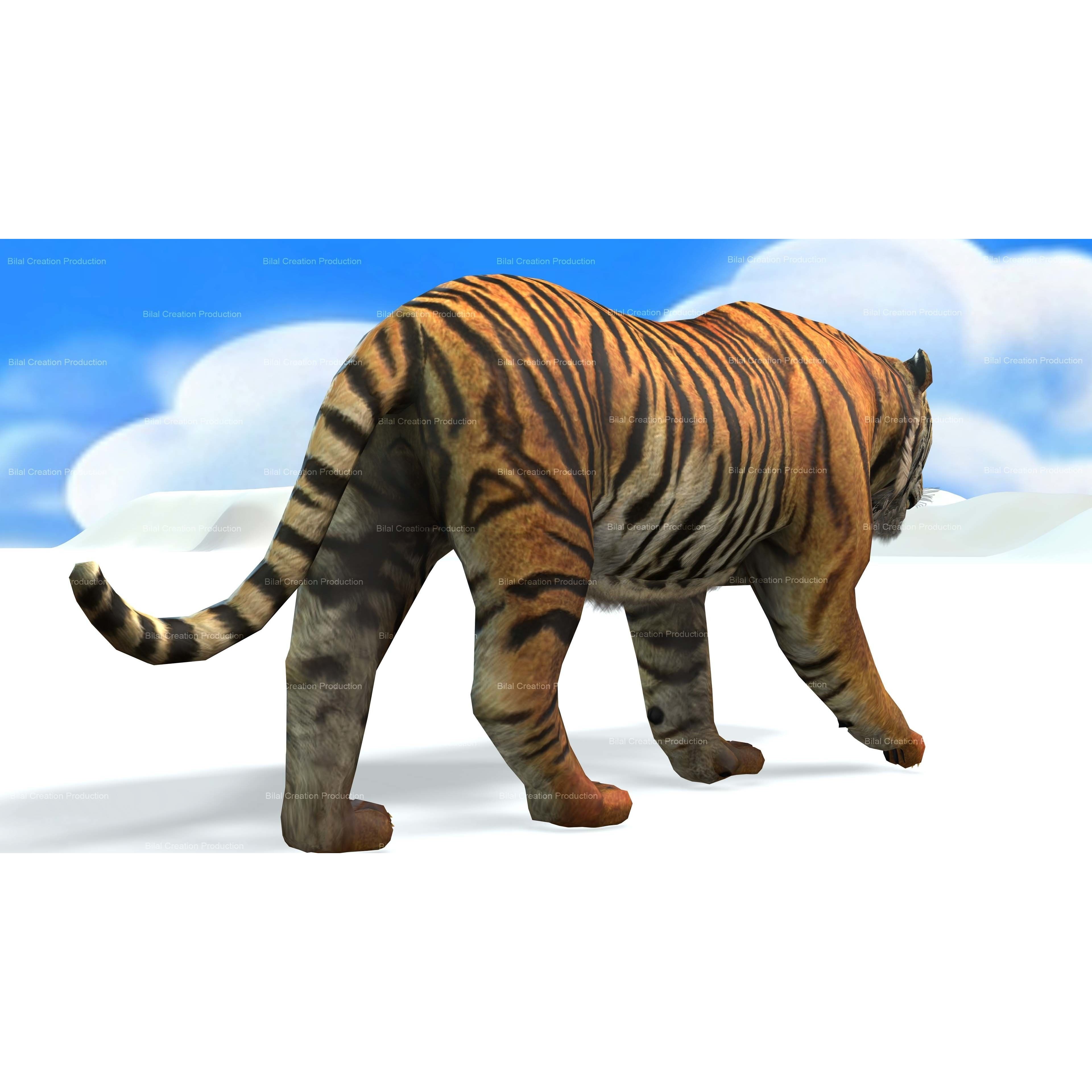 Tiger Rigged Animated 7 3D model 8