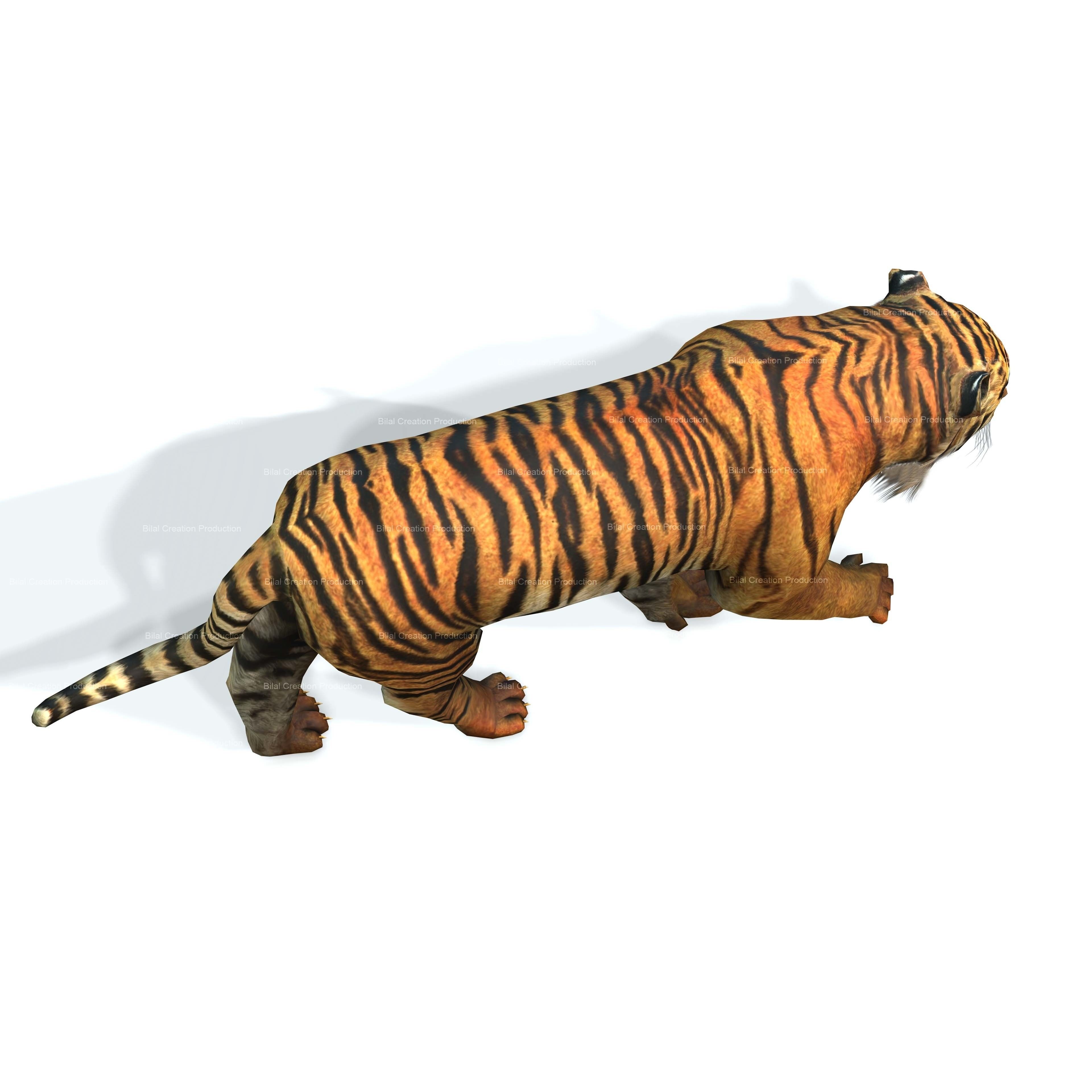 Tiger Rigged Animated 7 3D model 9