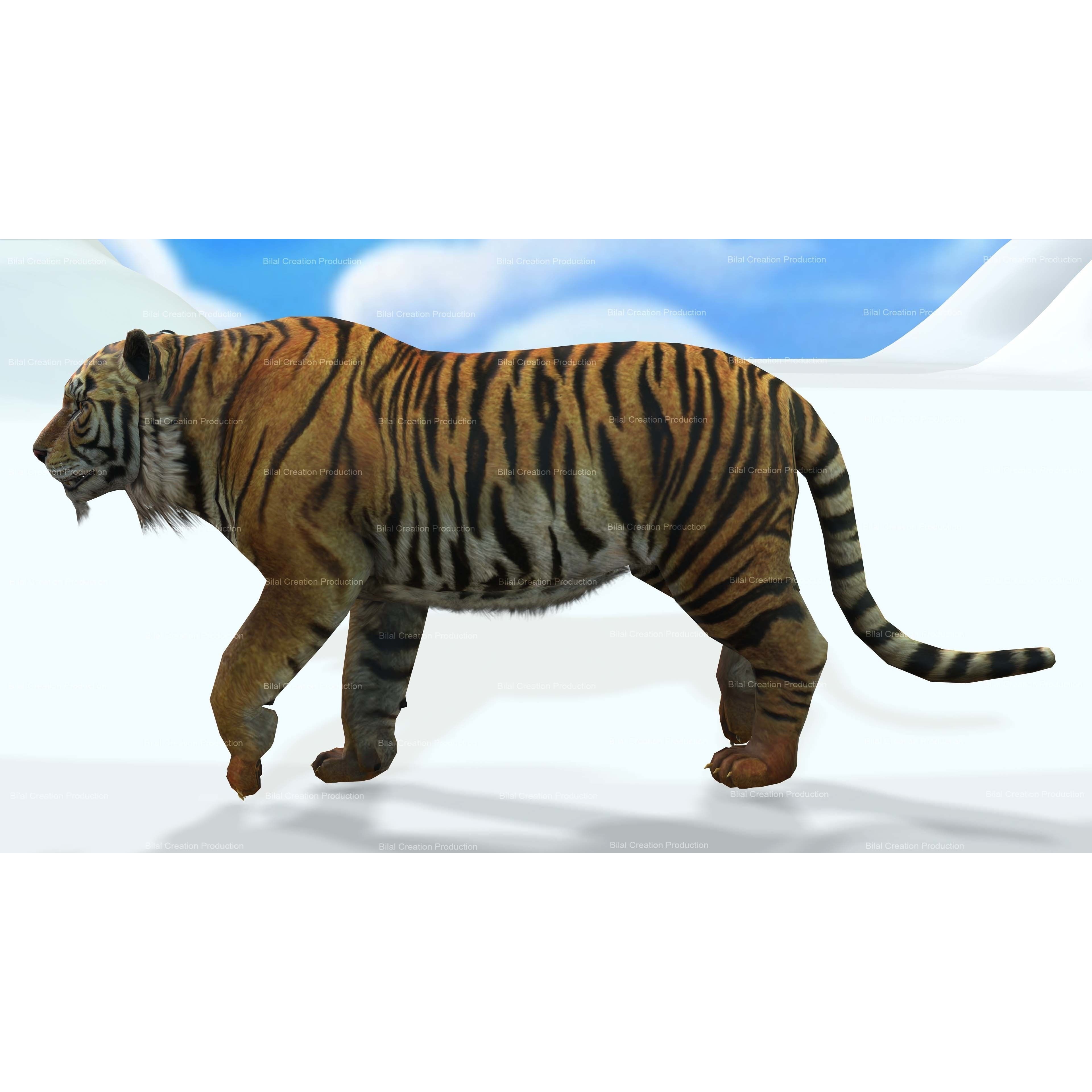 Tiger Rigged Animated 7 3D model 10
