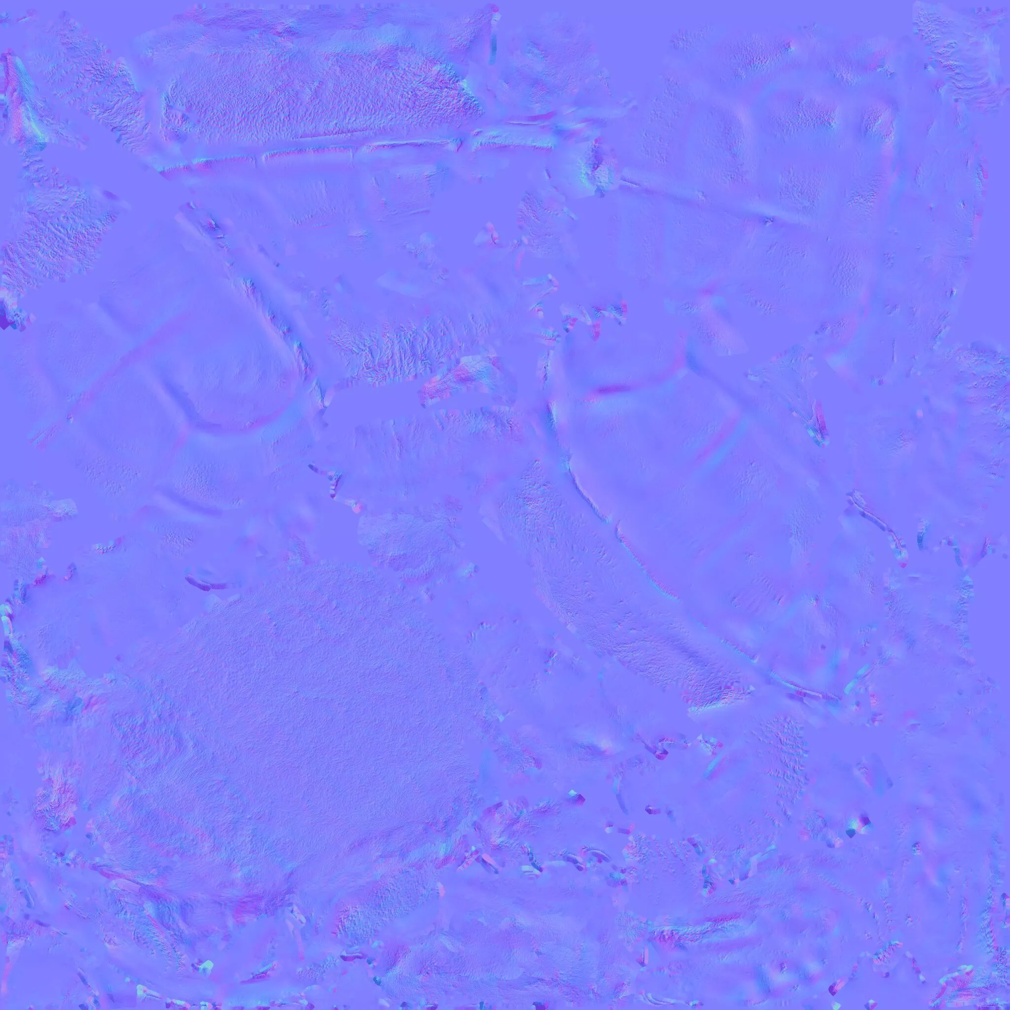 Tortoise Free 3D model 9