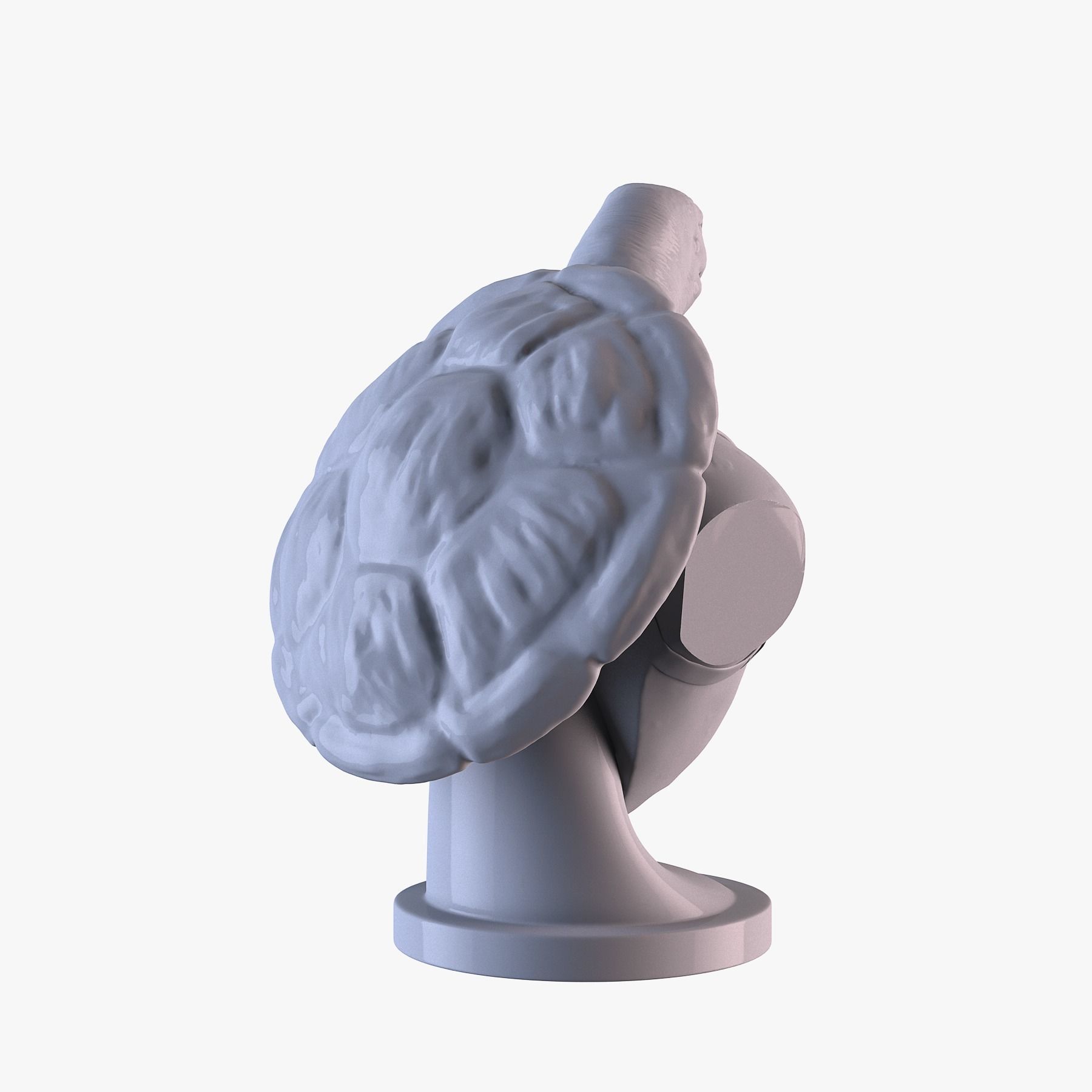Turtle head Free 3D print model 4
