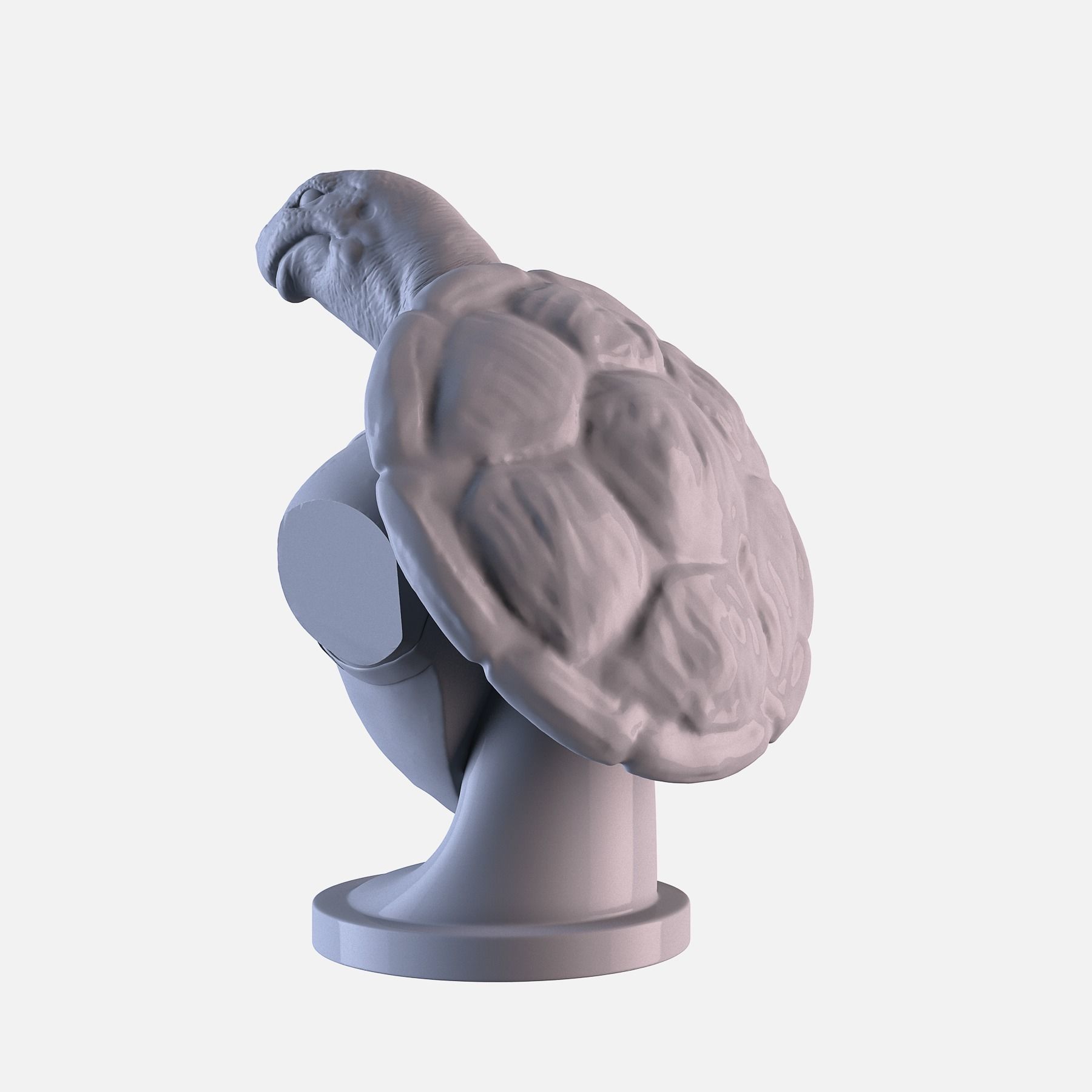 Turtle head Free 3D print model 6