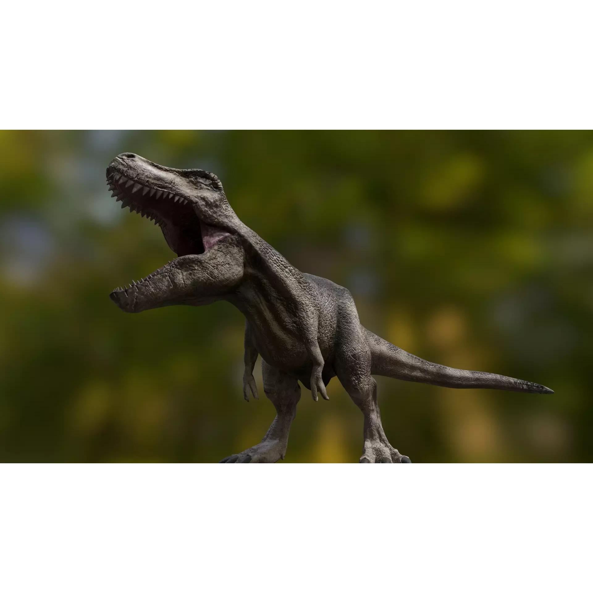 Tyrannosaurus Rex Free low-poly 3D model