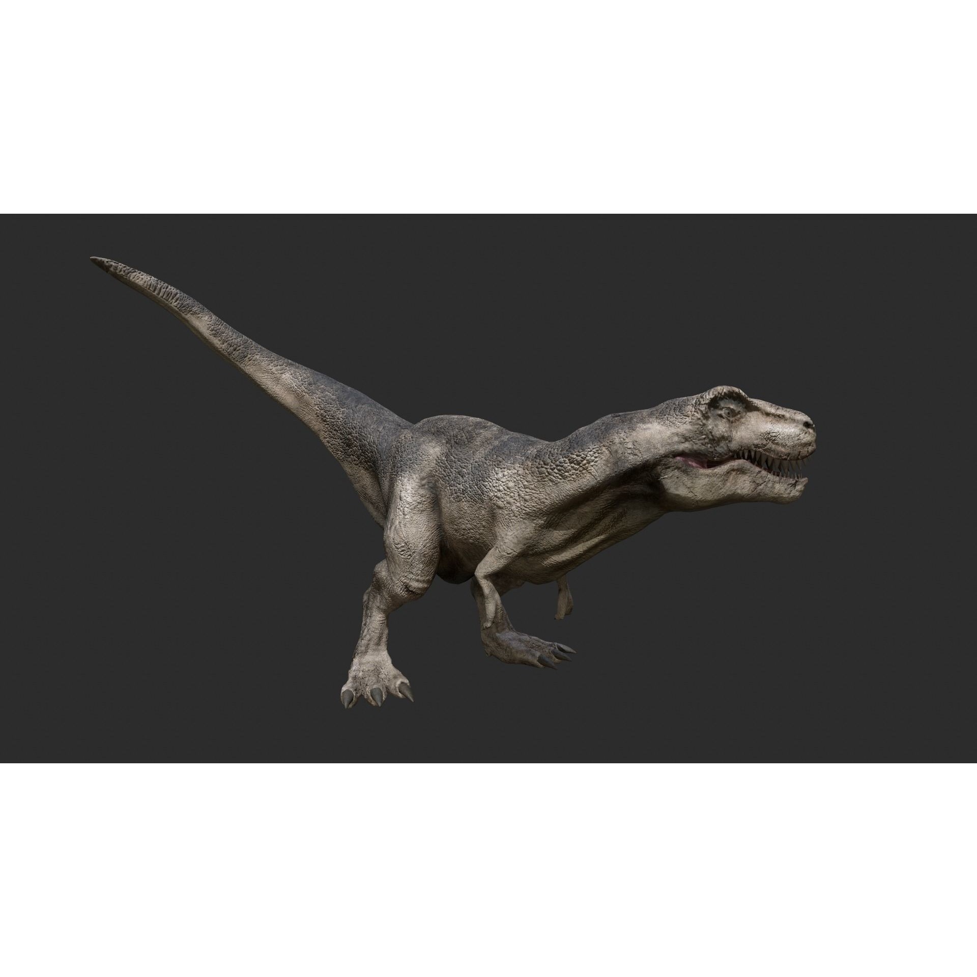 Tyrannosaurus Rex Free low-poly 3D model 2