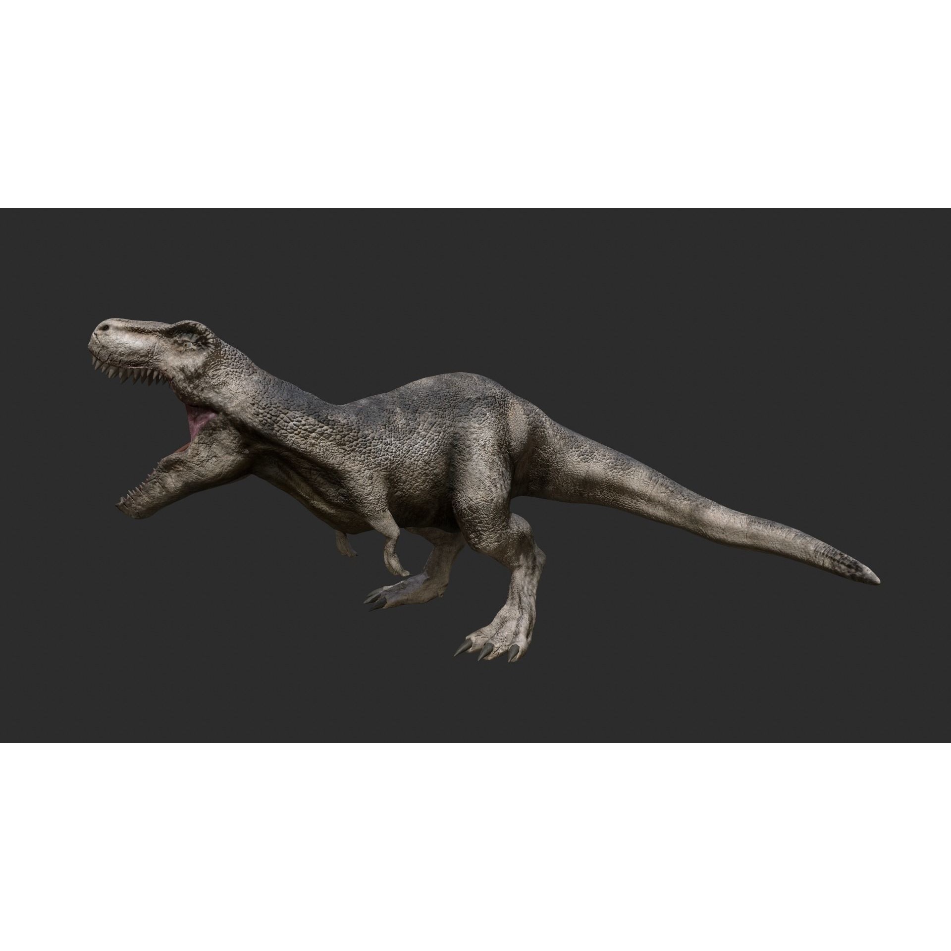 Tyrannosaurus Rex Free low-poly 3D model 4