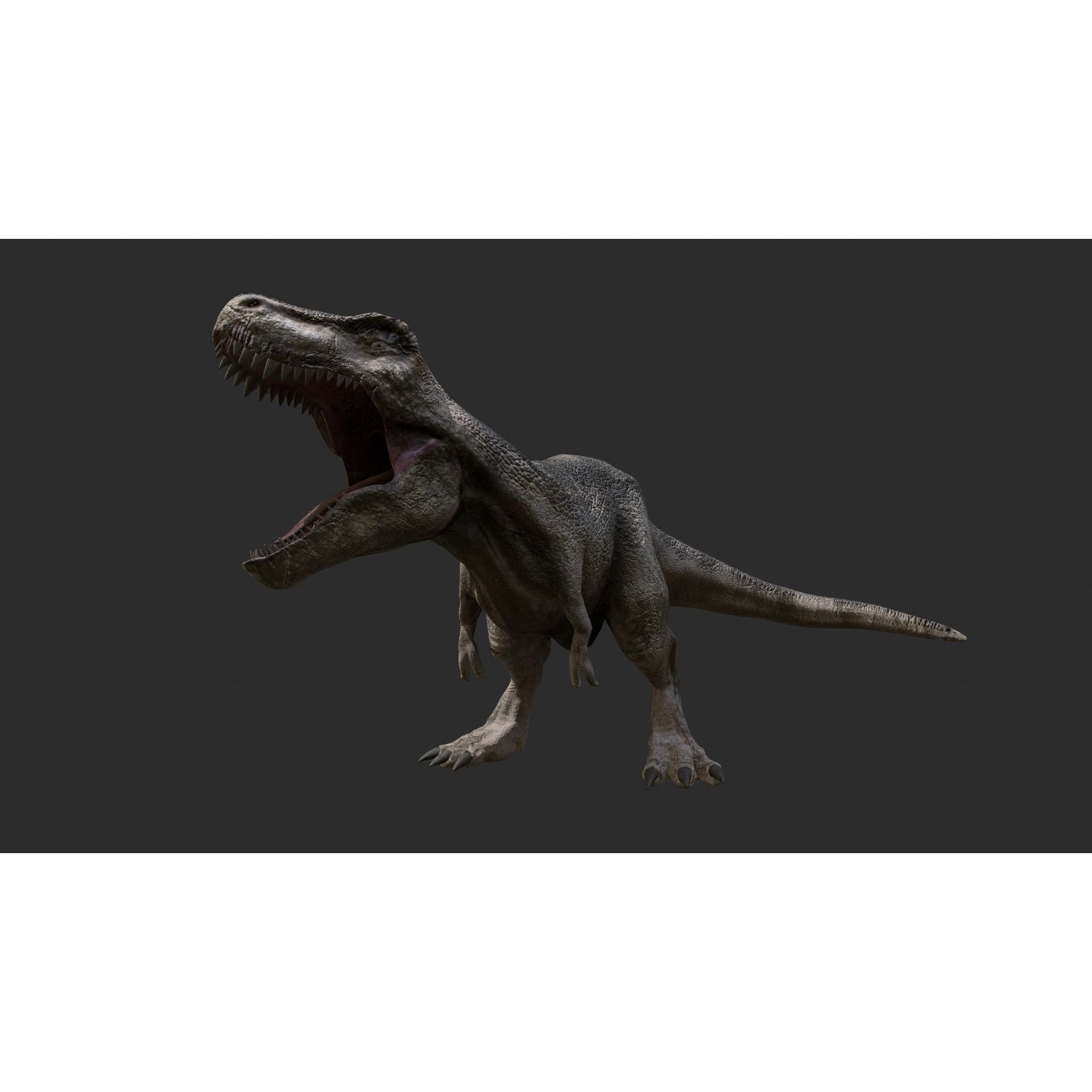 Tyrannosaurus Rex Free low-poly 3D model 5