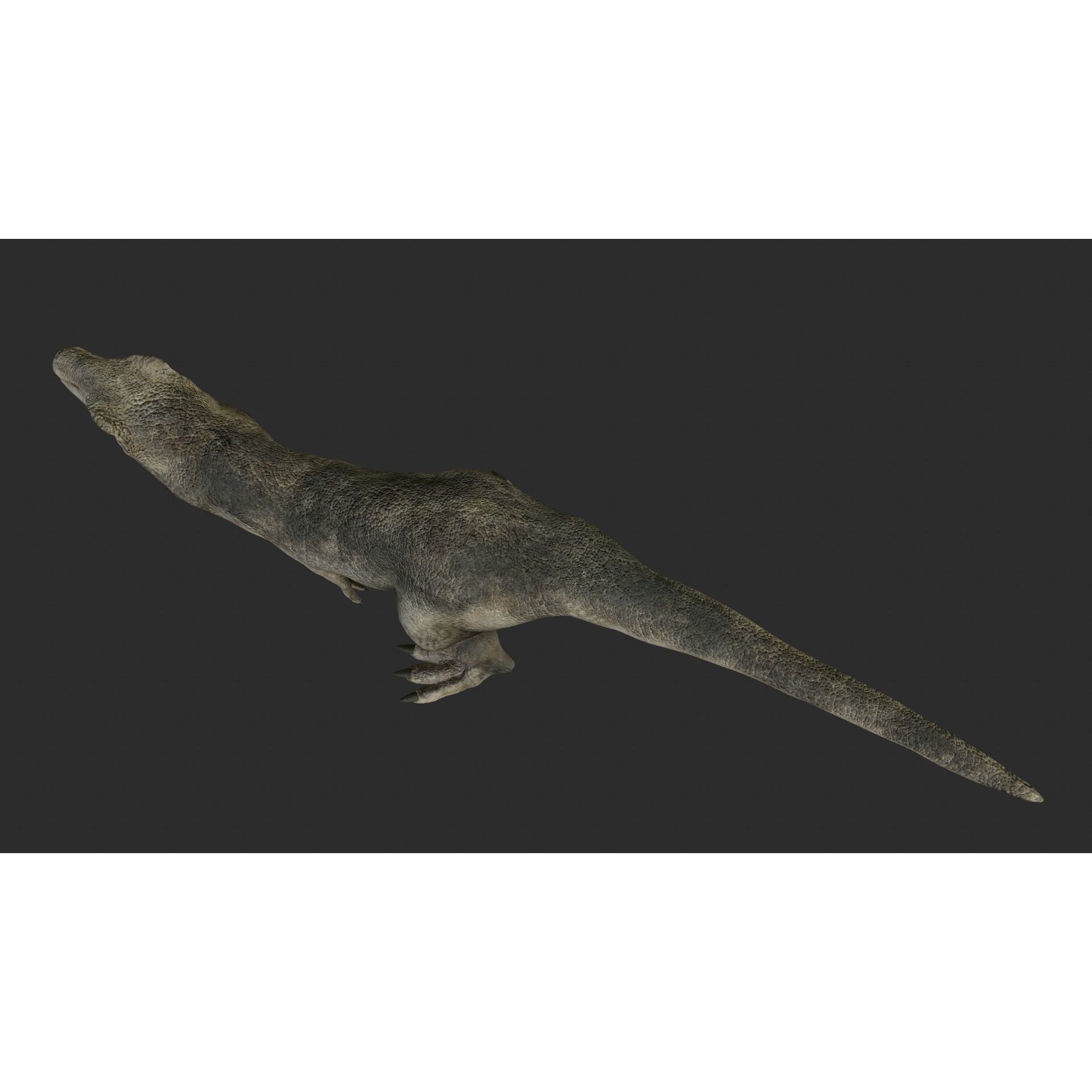 Tyrannosaurus Rex Free low-poly 3D model 6
