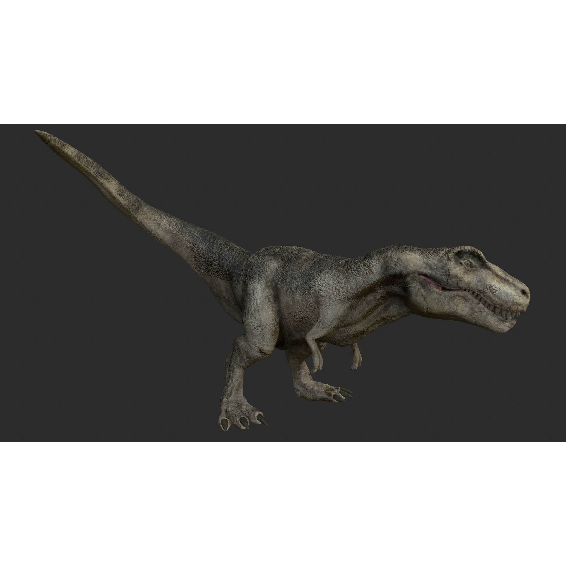 Tyrannosaurus Rex Free low-poly 3D model 7