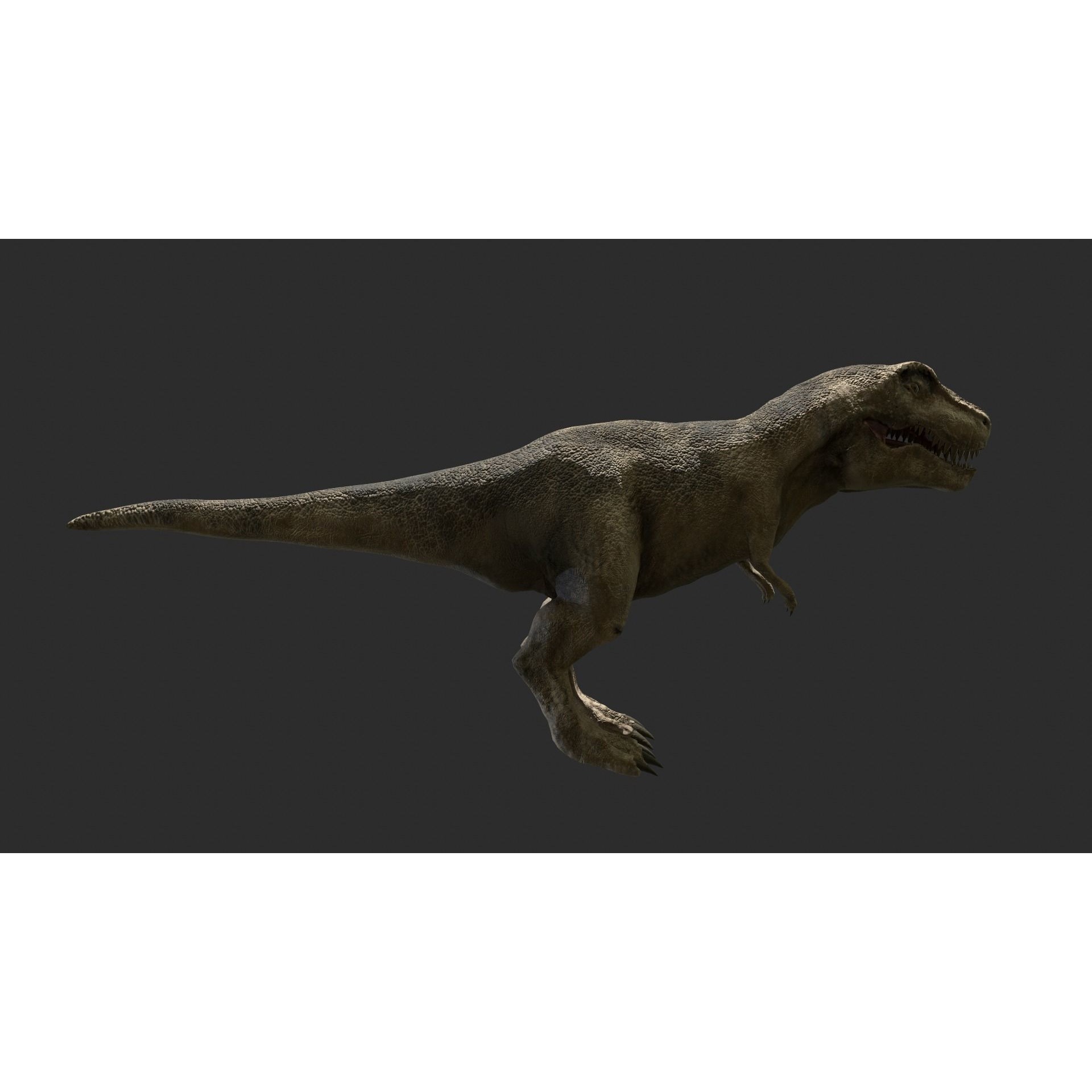 Tyrannosaurus Rex Free low-poly 3D model 8